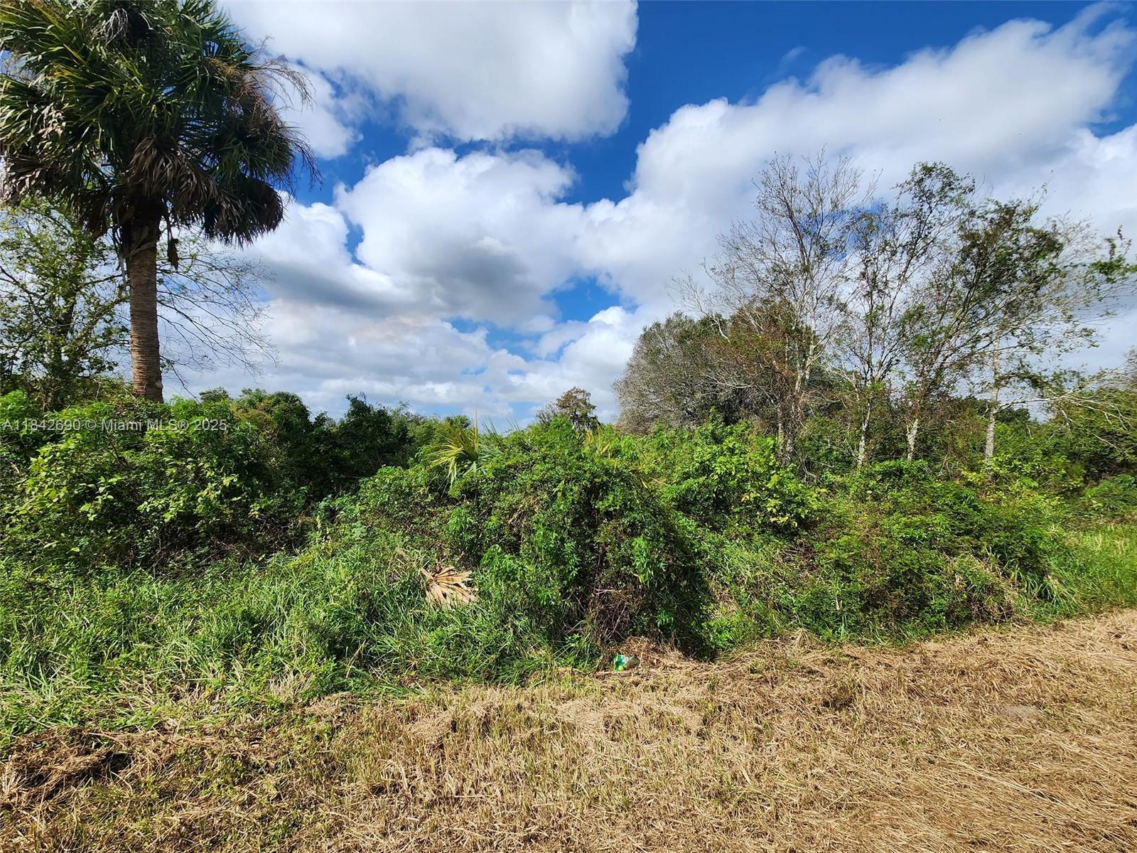 See details / sq. ft. $ 2025-07-18 0 Photo