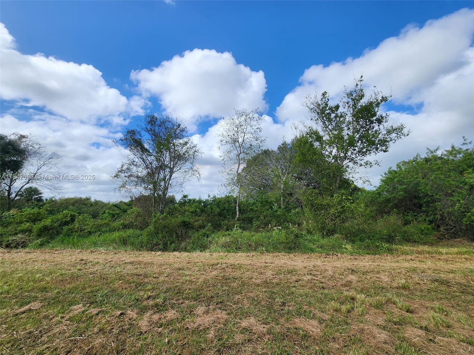 See details / sq. ft. $ 2025-07-18 0 Photo