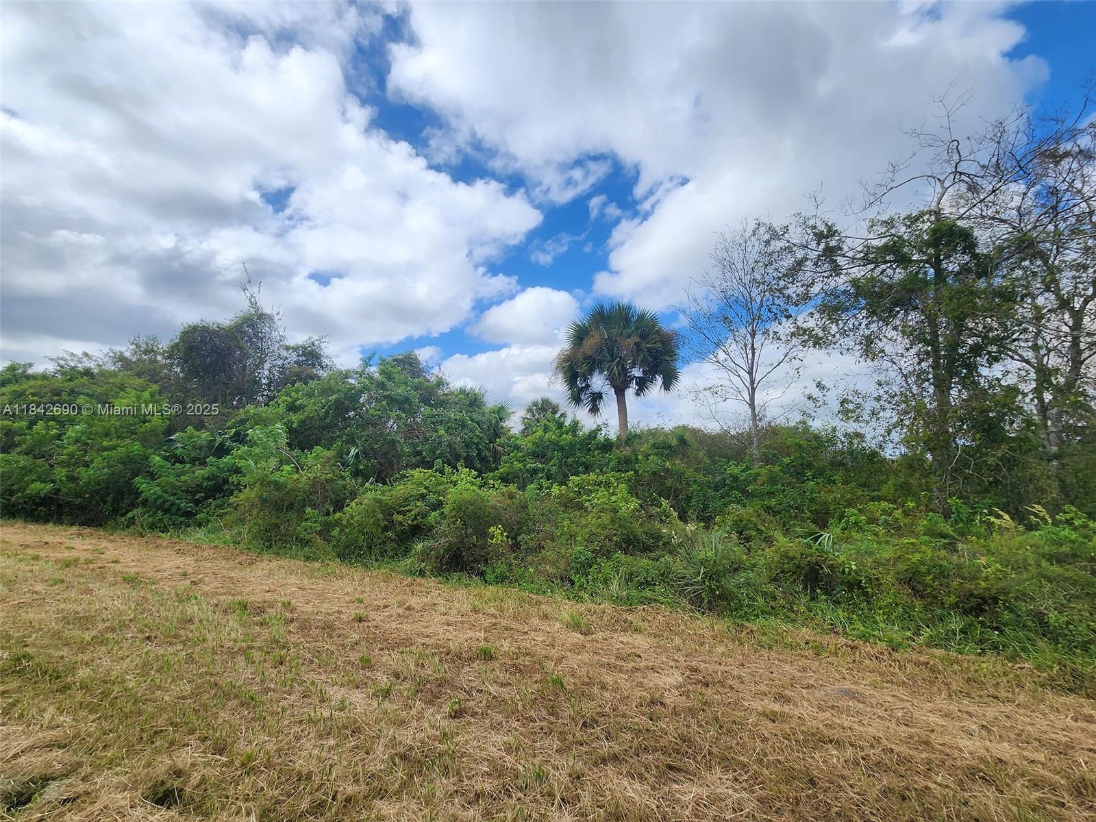 See details / sq. ft. $ 2025-07-18 0 Photo