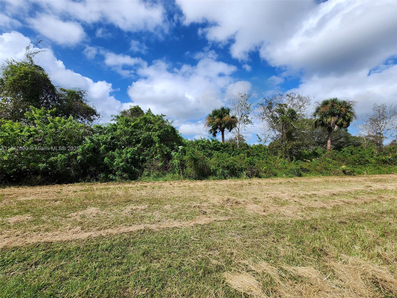 See details / sq. ft. $ 2025-07-18 0 Photo