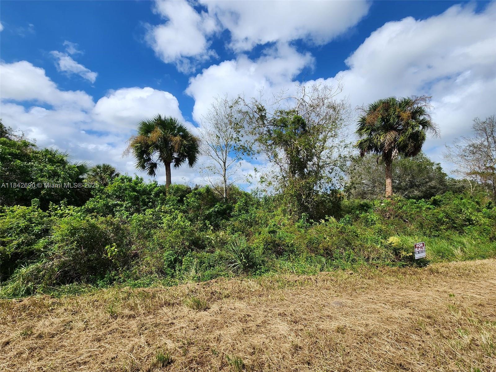 See details / sq. ft. $ 2025-07-18 0 Photo