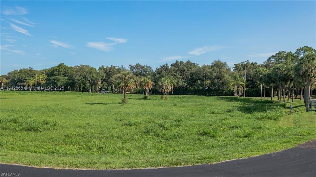 See details / sq. ft. $ 2025-07-18 0 Photo
