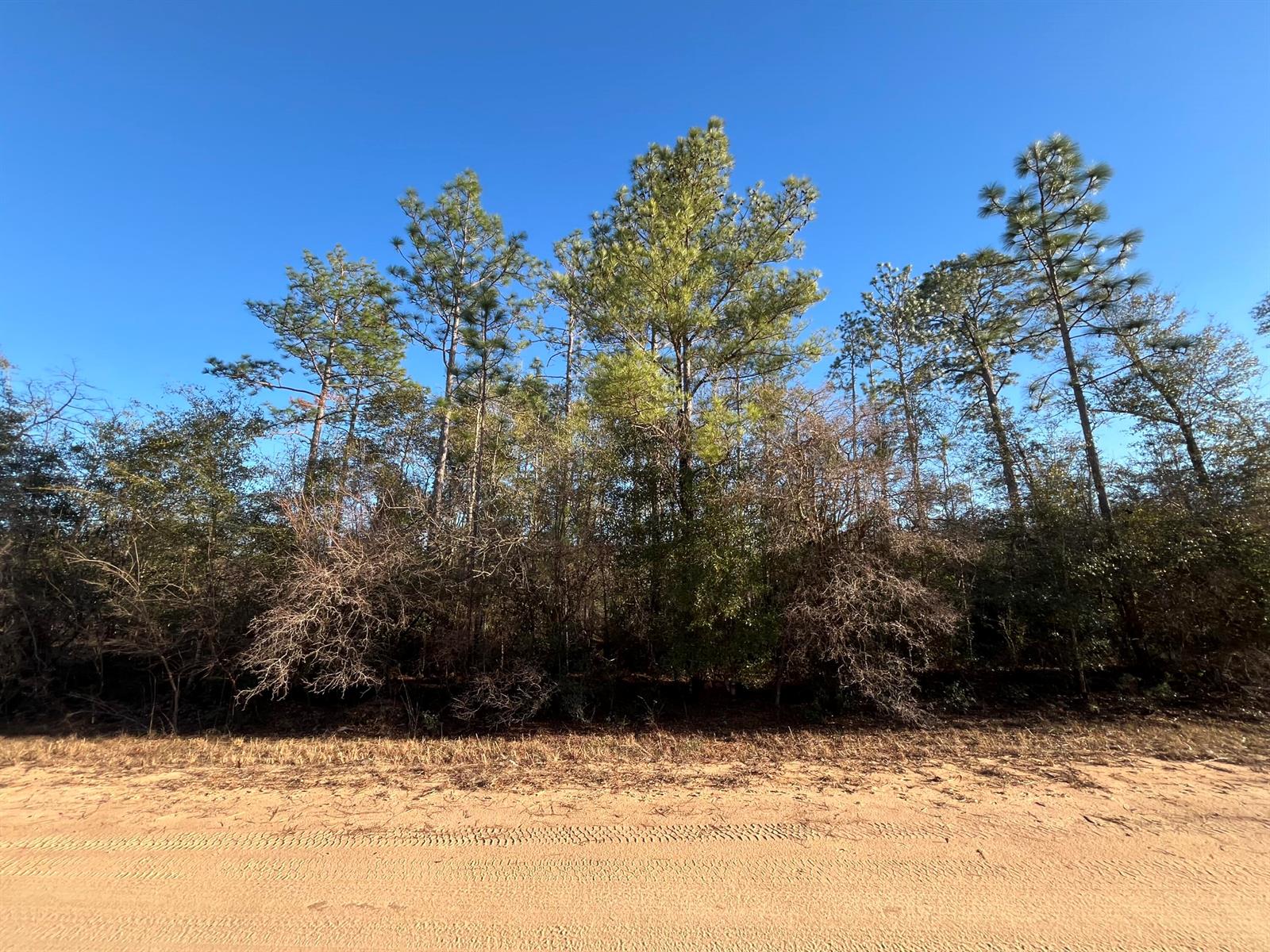 See details / 0 sq. ft. $ 2025-11-19 0 Photo