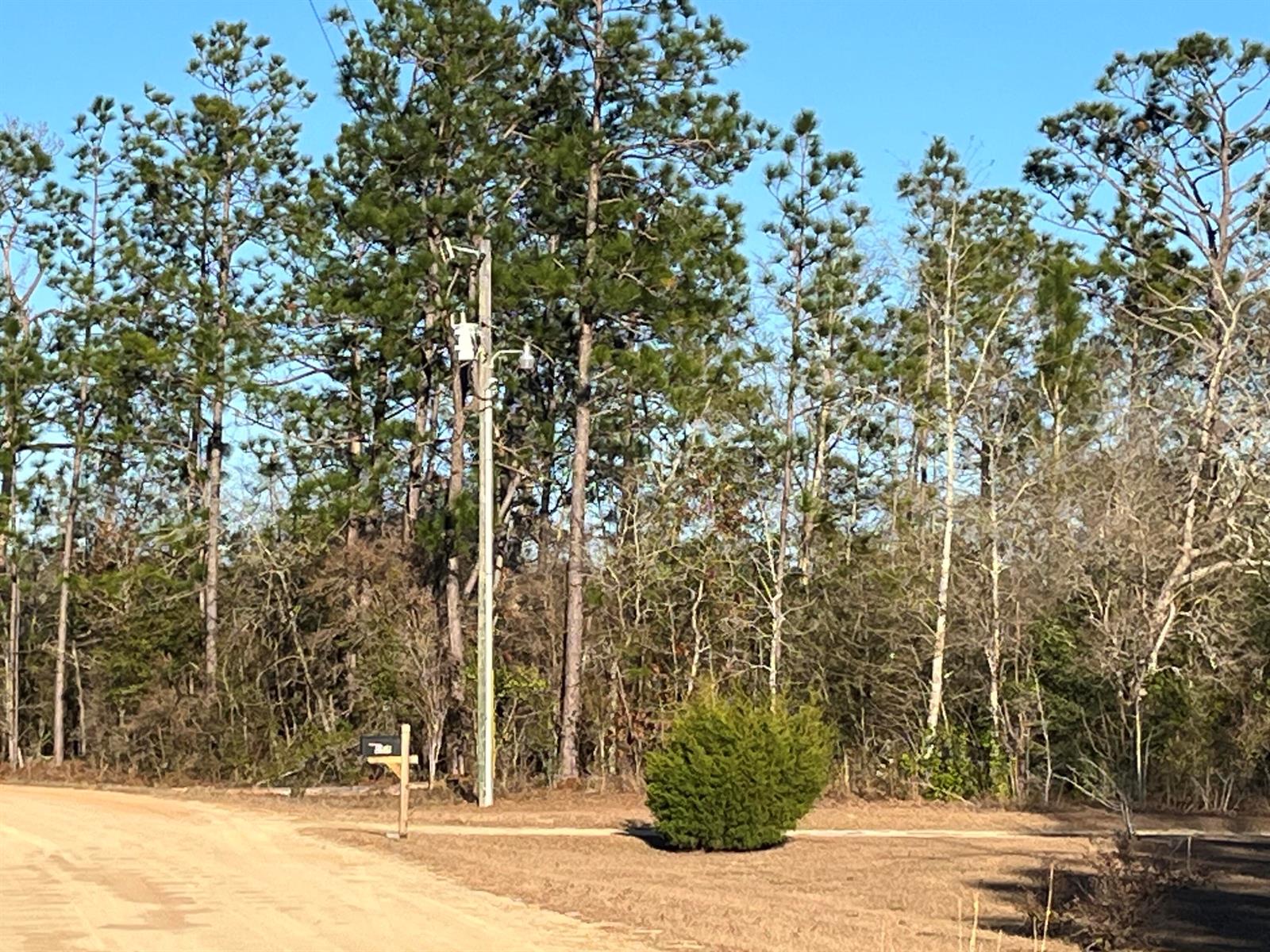 See details / 0 sq. ft. $ 2025-11-19 0 Photo