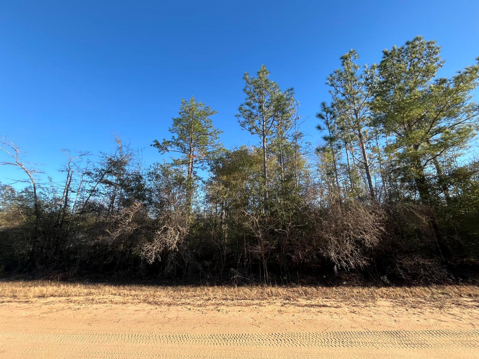 See details / 0 sq. ft. $ 2025-11-19 0 Photo