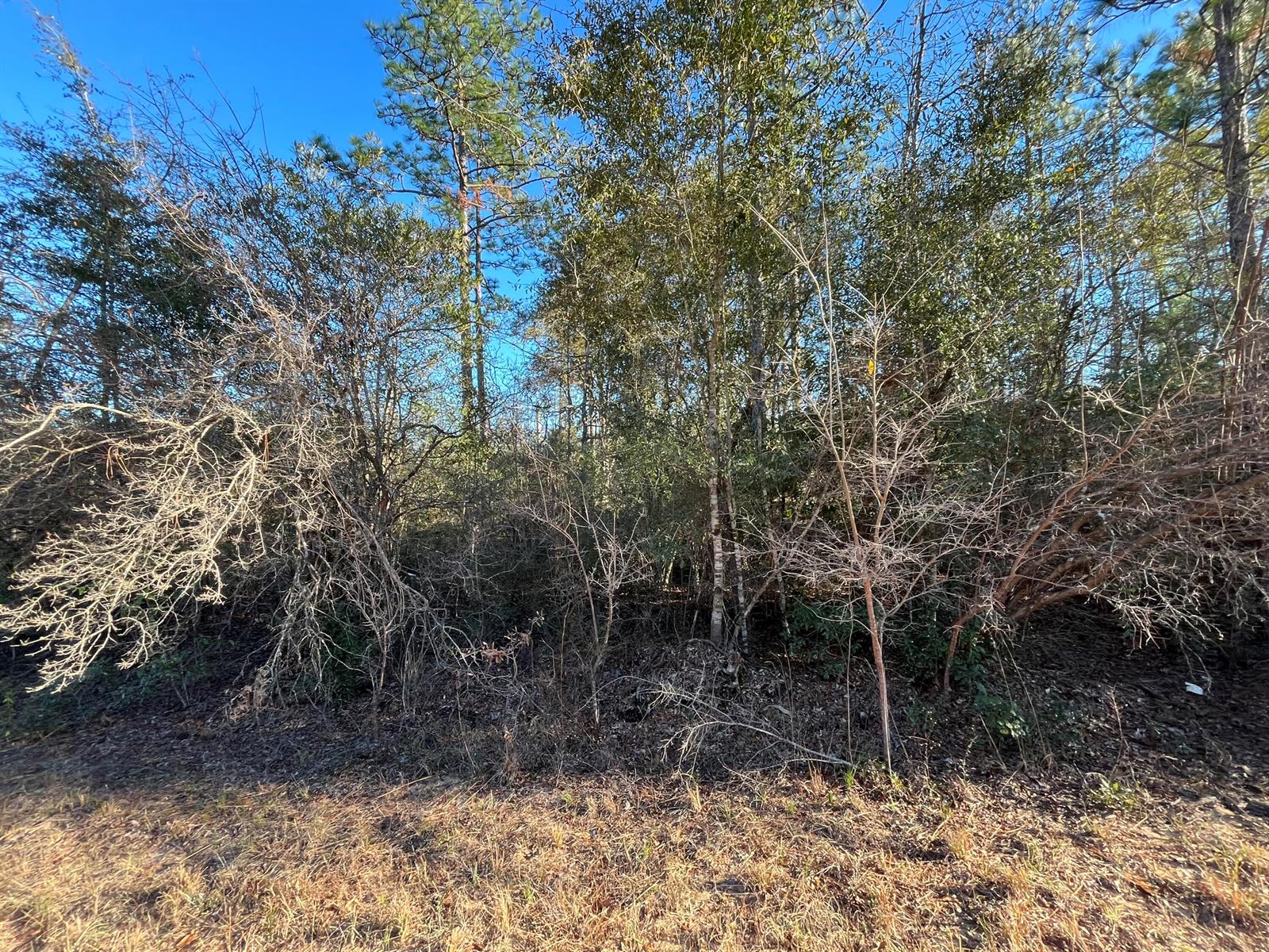 See details / 0 sq. ft. $ 2025-11-19 0 Photo