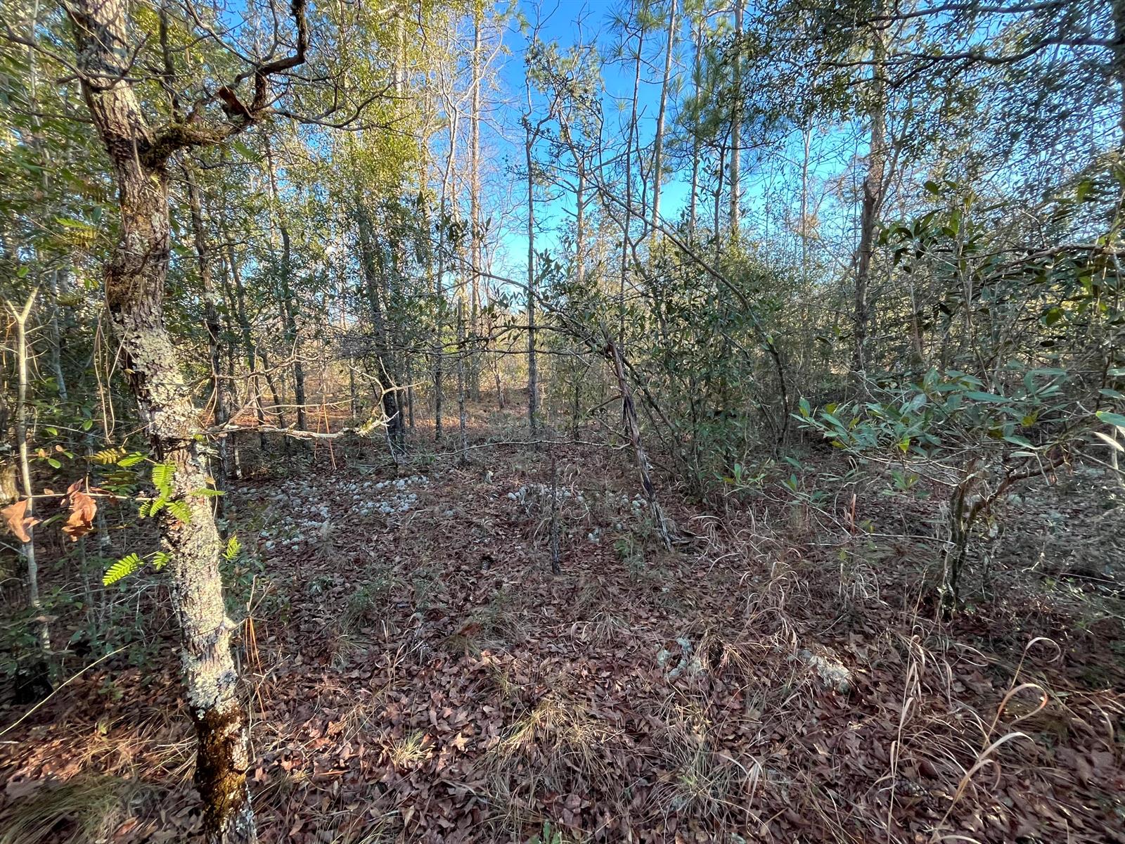 See details / 0 sq. ft. $ 2025-11-19 0 Photo