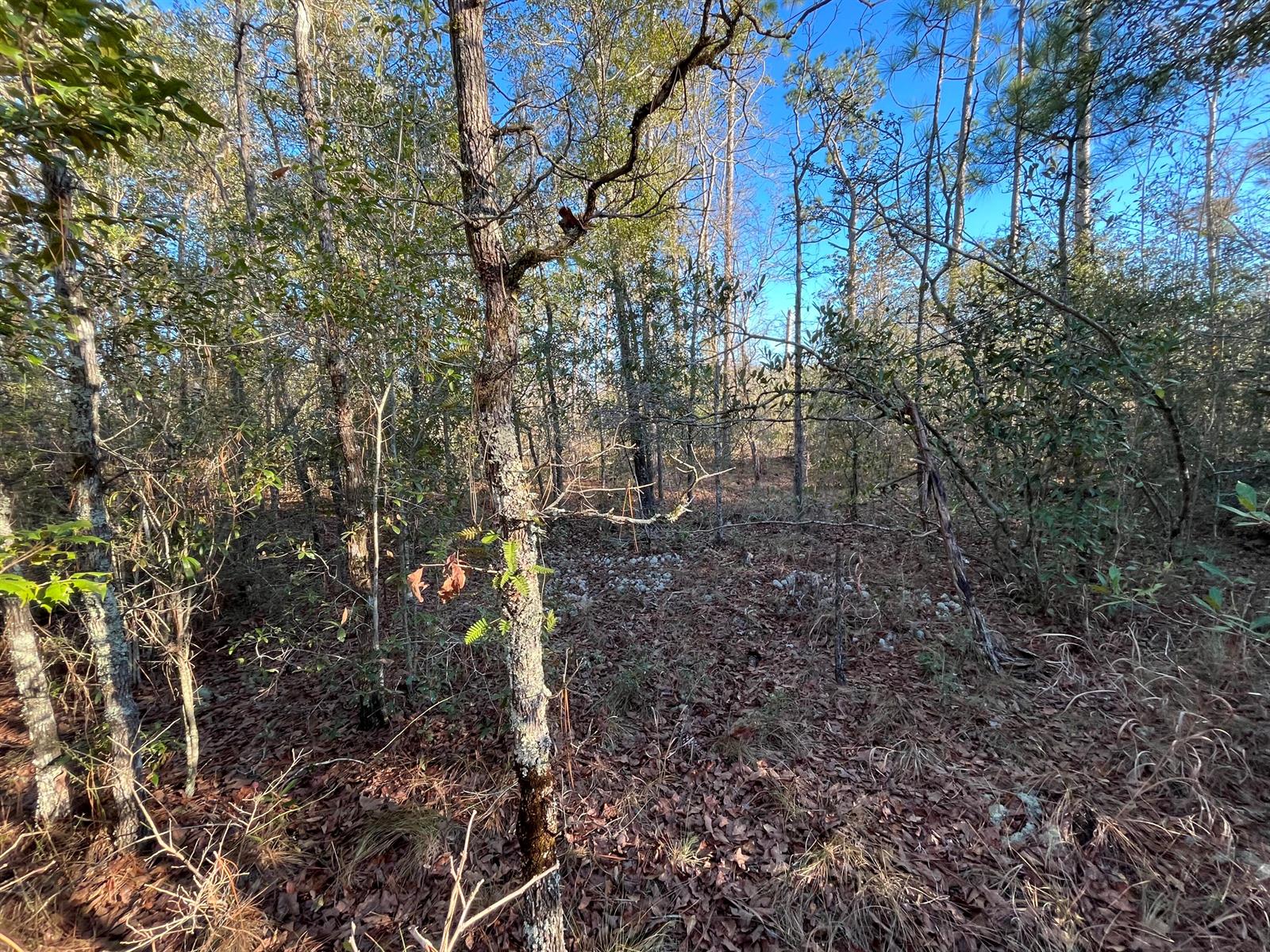 See details / 0 sq. ft. $ 2025-11-19 0 Photo