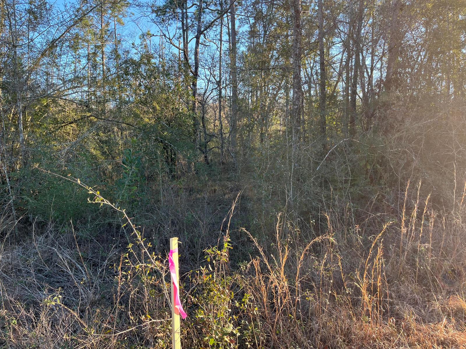 See details / 0 sq. ft. $ 2025-11-19 0 Photo