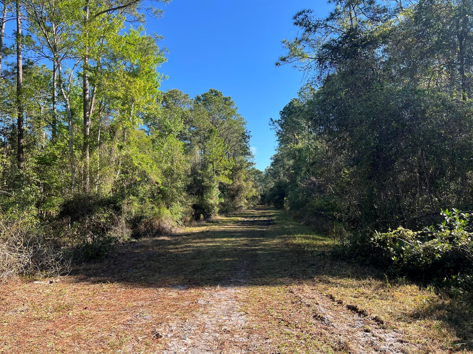   / 0  sq. ft. $ 2025-11-18 0 foto