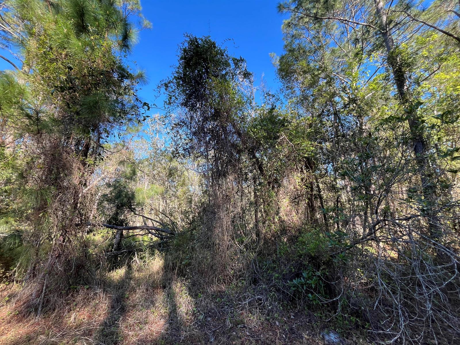   / 0  sq. ft. $ 2025-11-18 0 foto