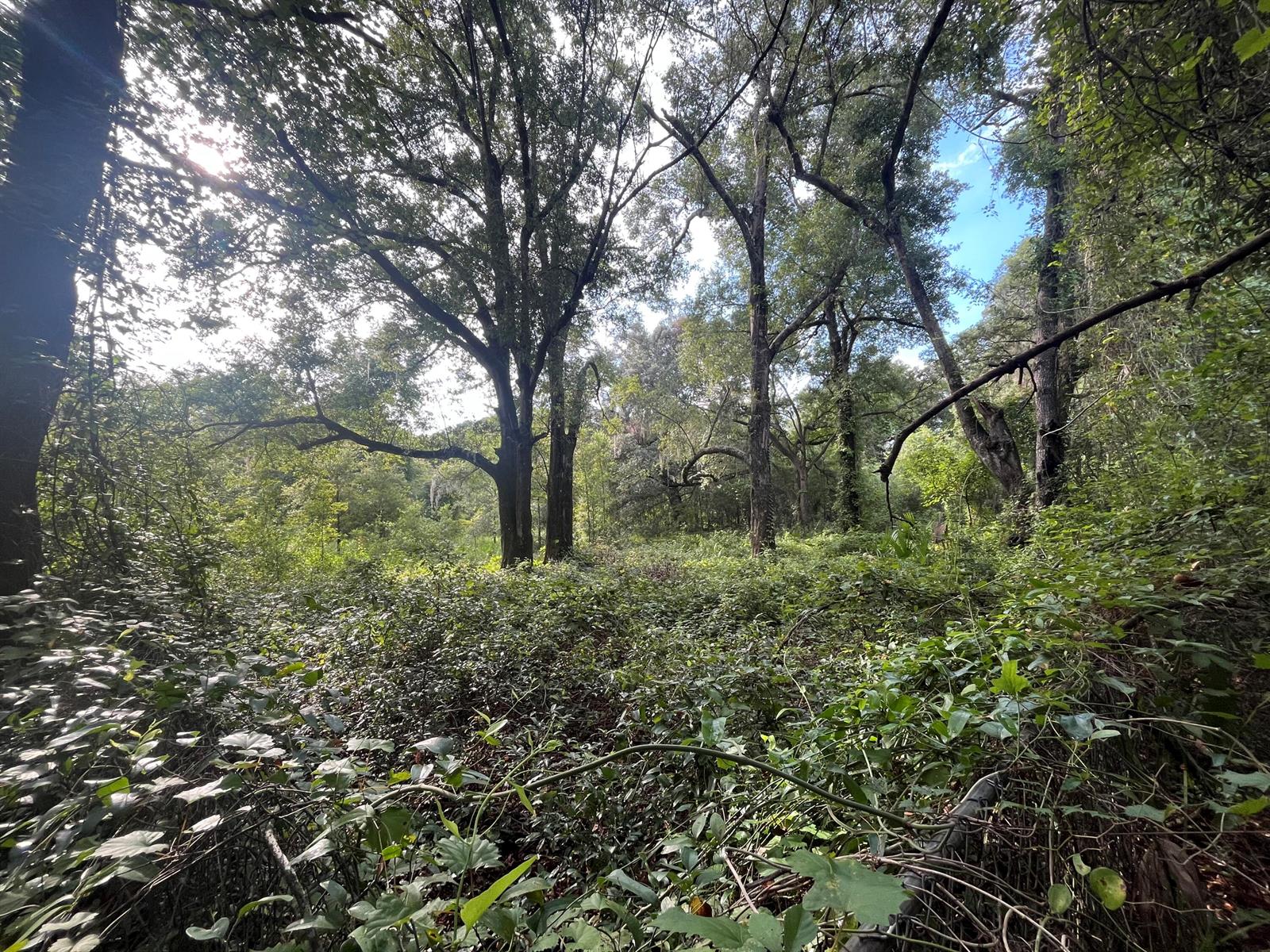 See details / 0 sq. ft. $ 2025-11-18 0 Photo