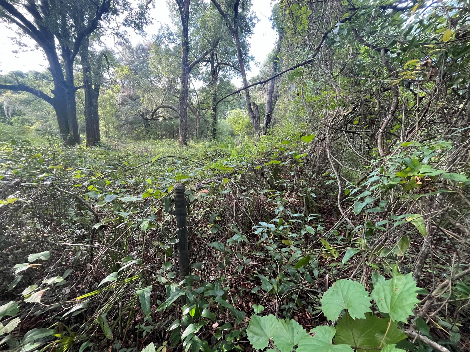 See details / 0 sq. ft. $ 2025-11-18 0 Photo