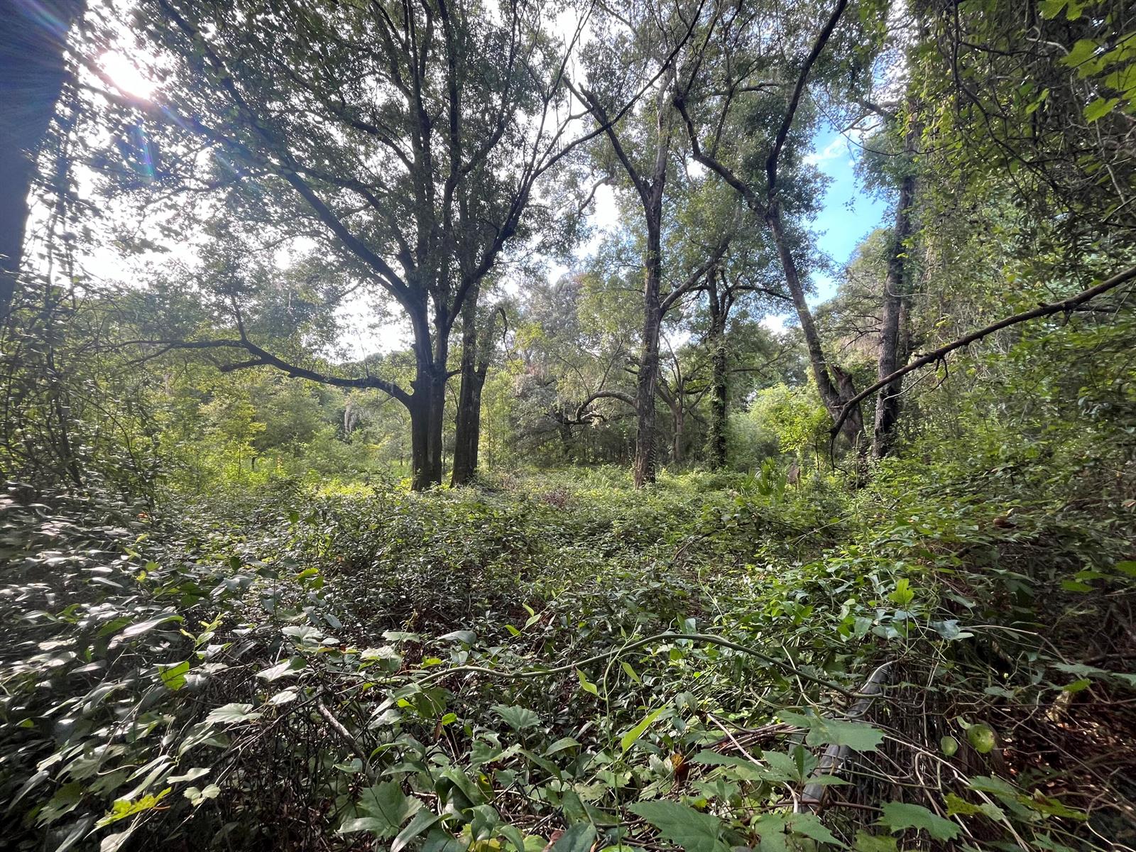 See details / 0 sq. ft. $ 2025-11-18 0 Photo