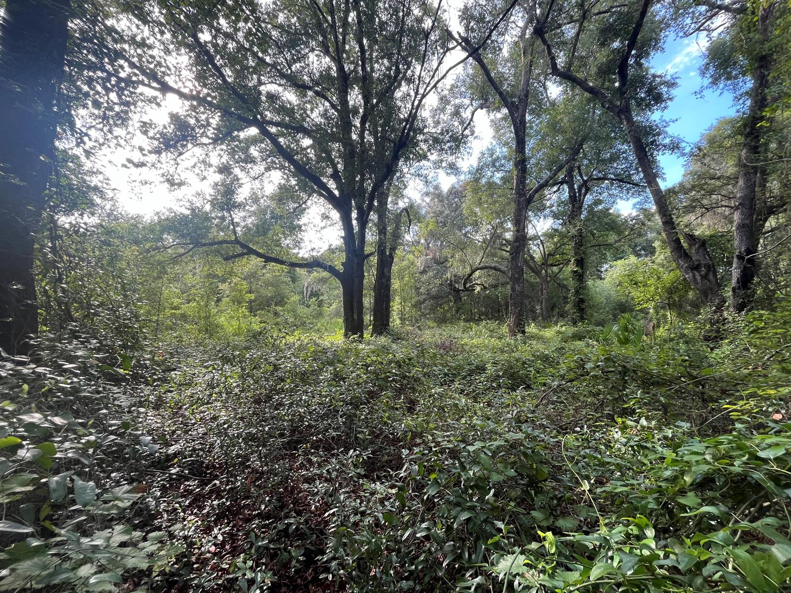 See details / 0 sq. ft. $ 2025-11-18 0 Photo