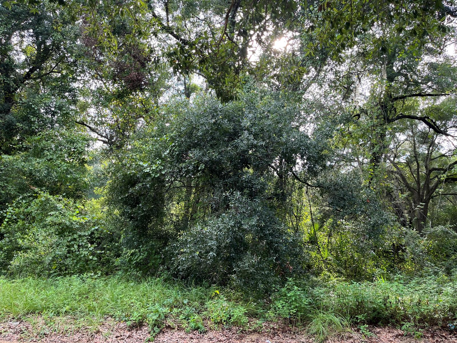 See details / 0 sq. ft. $ 2025-11-18 0 Photo
