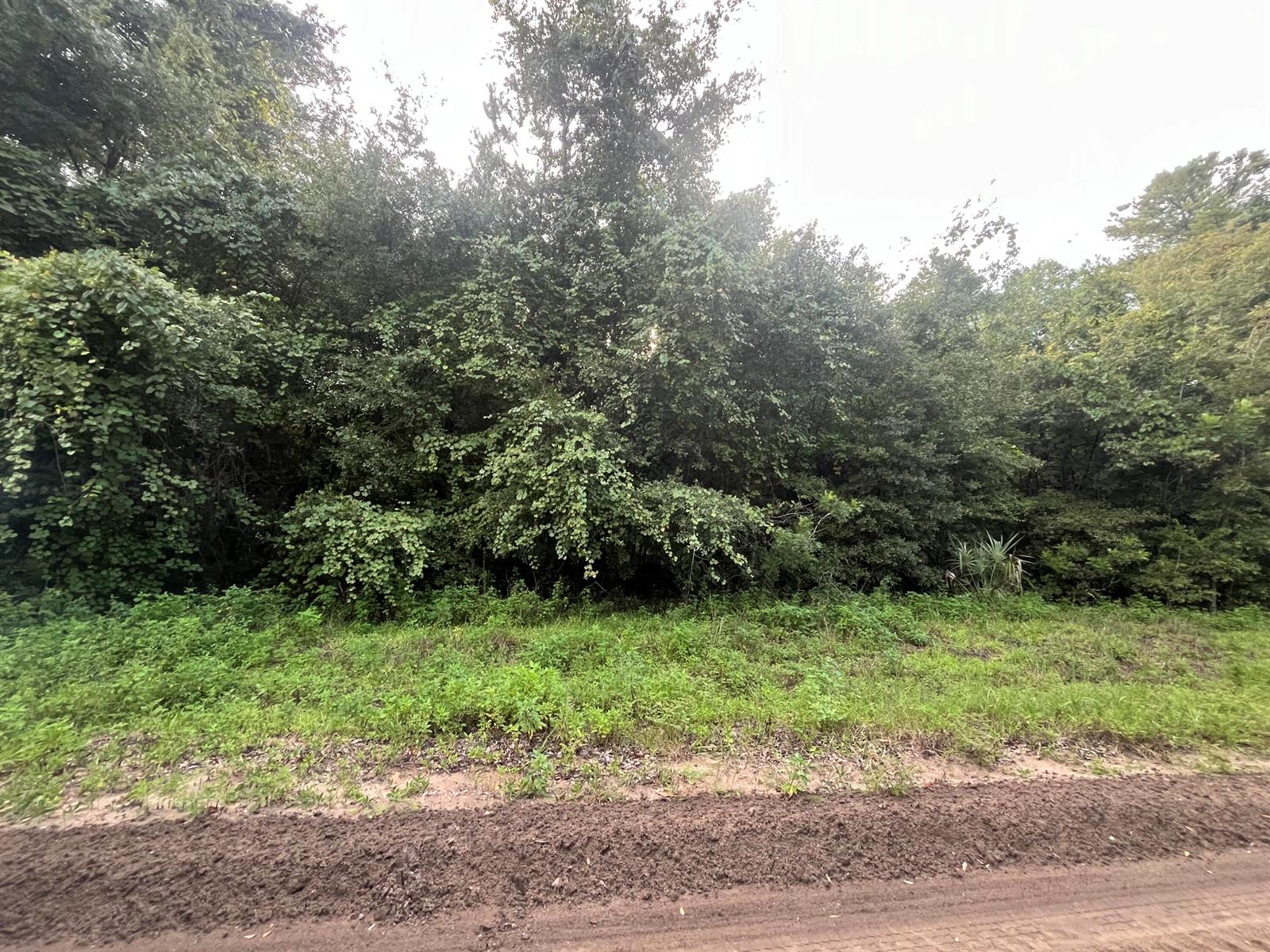 See details / 0 sq. ft. $ 2025-11-19 0 Photo