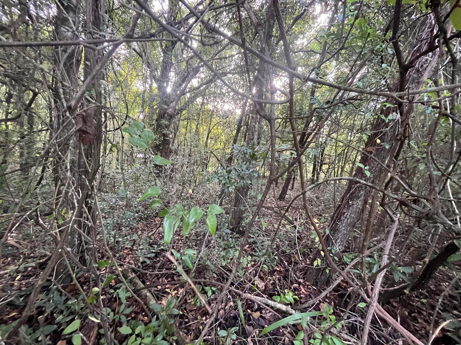 See details / 0 sq. ft. $ 2025-11-19 0 Photo