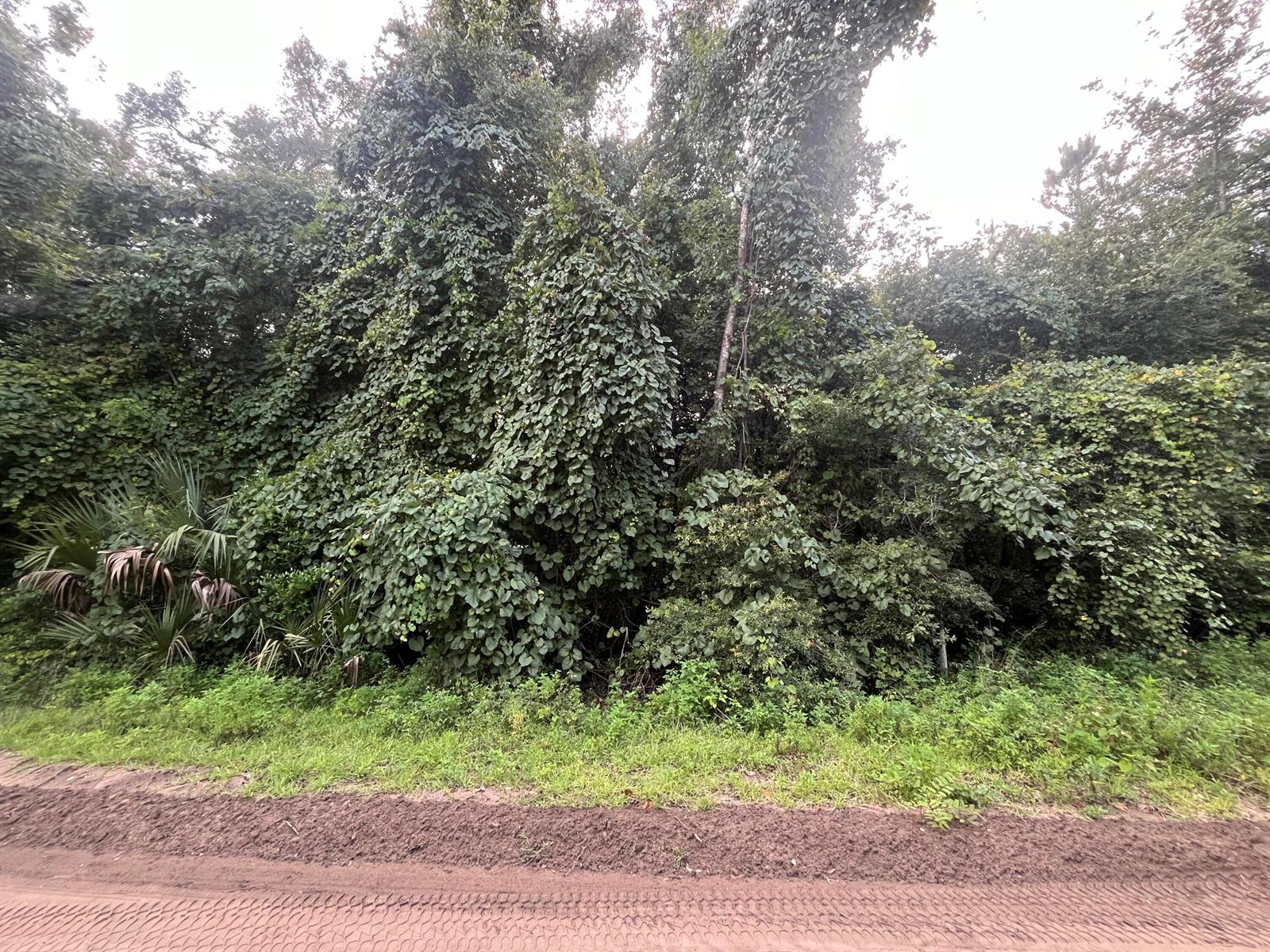 See details / 0 sq. ft. $ 2025-11-19 0 Photo