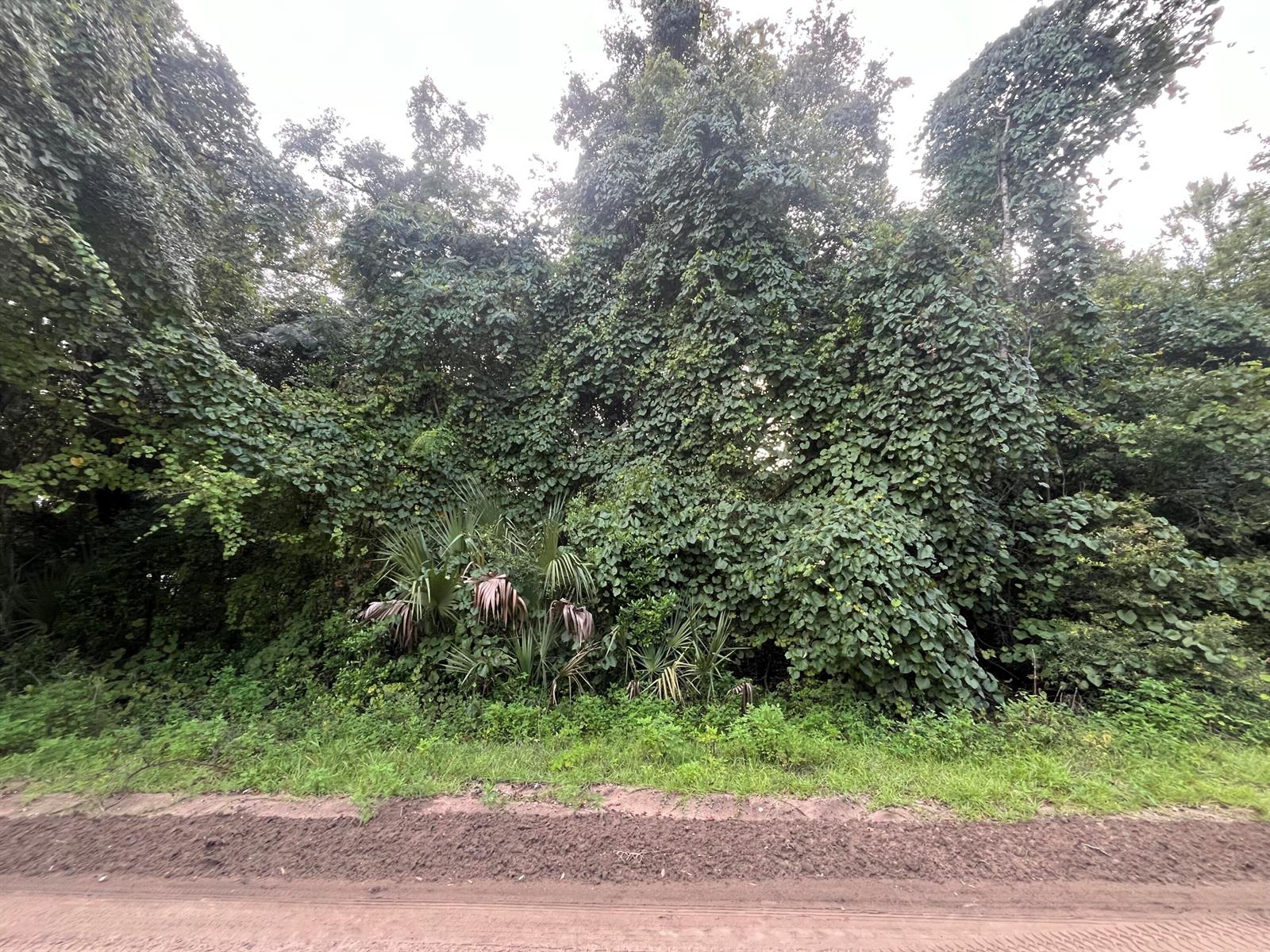 See details / 0 sq. ft. $ 2025-11-19 0 Photo