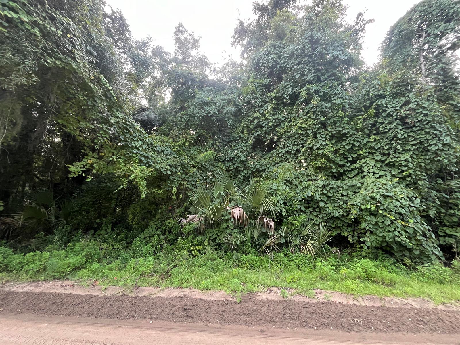 See details / 0 sq. ft. $ 2025-11-19 0 Photo