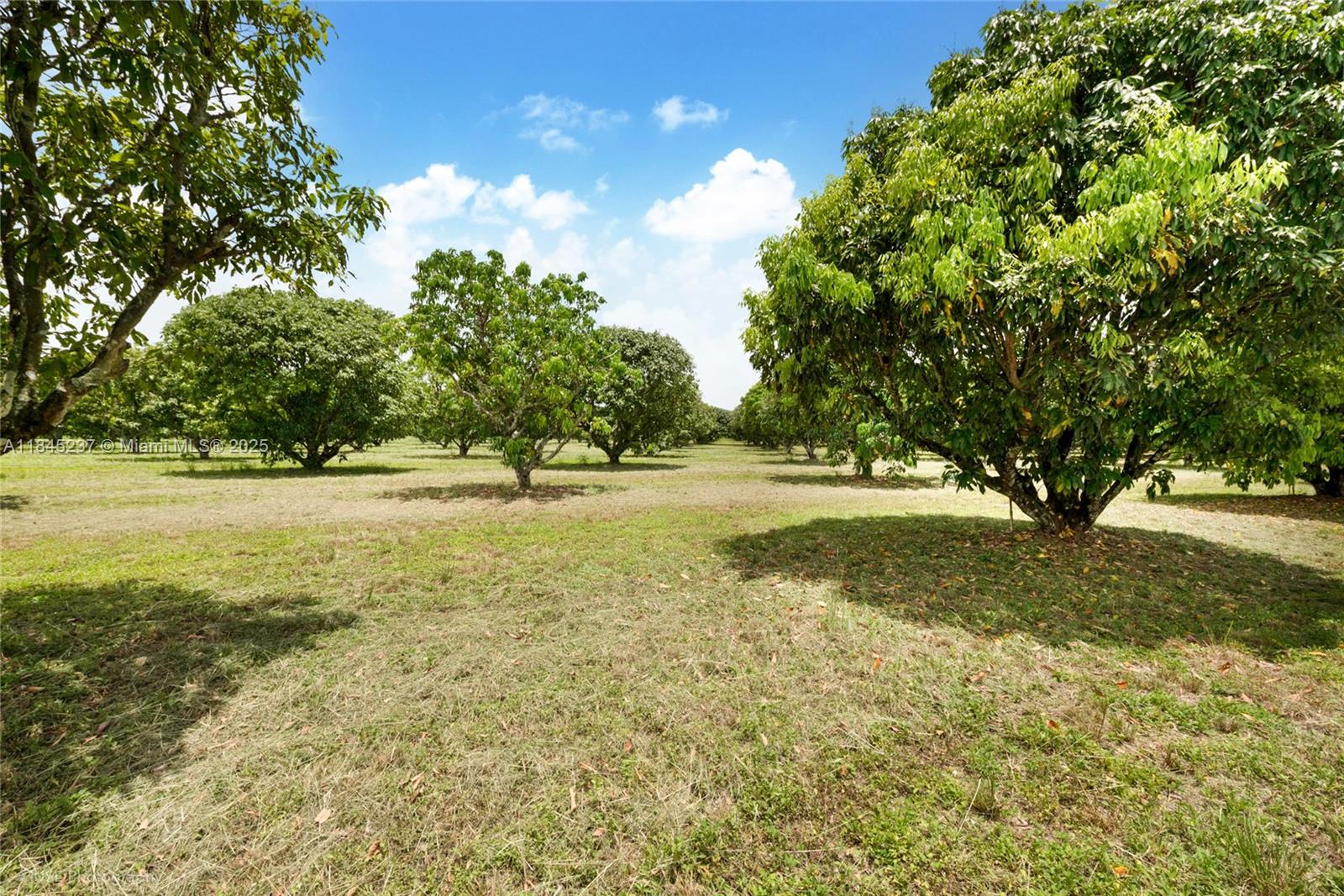 See details / sq. ft. $ 2025-07-22 0 Photo