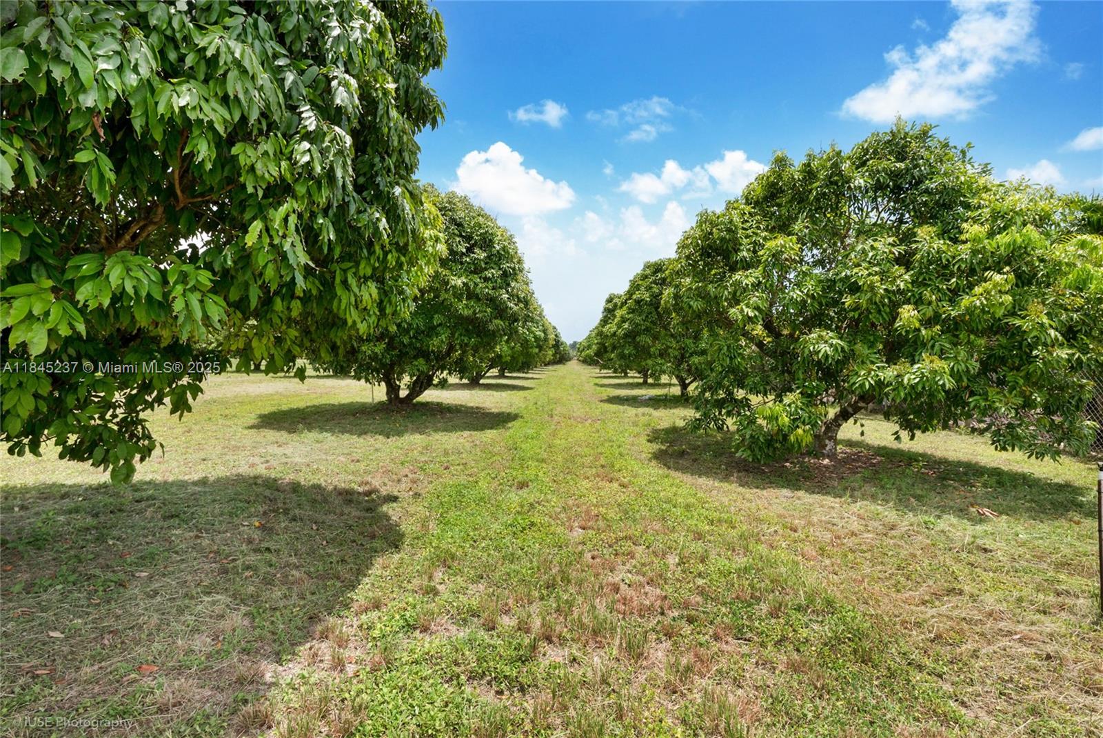 See details / sq. ft. $ 2025-07-22 0 Photo