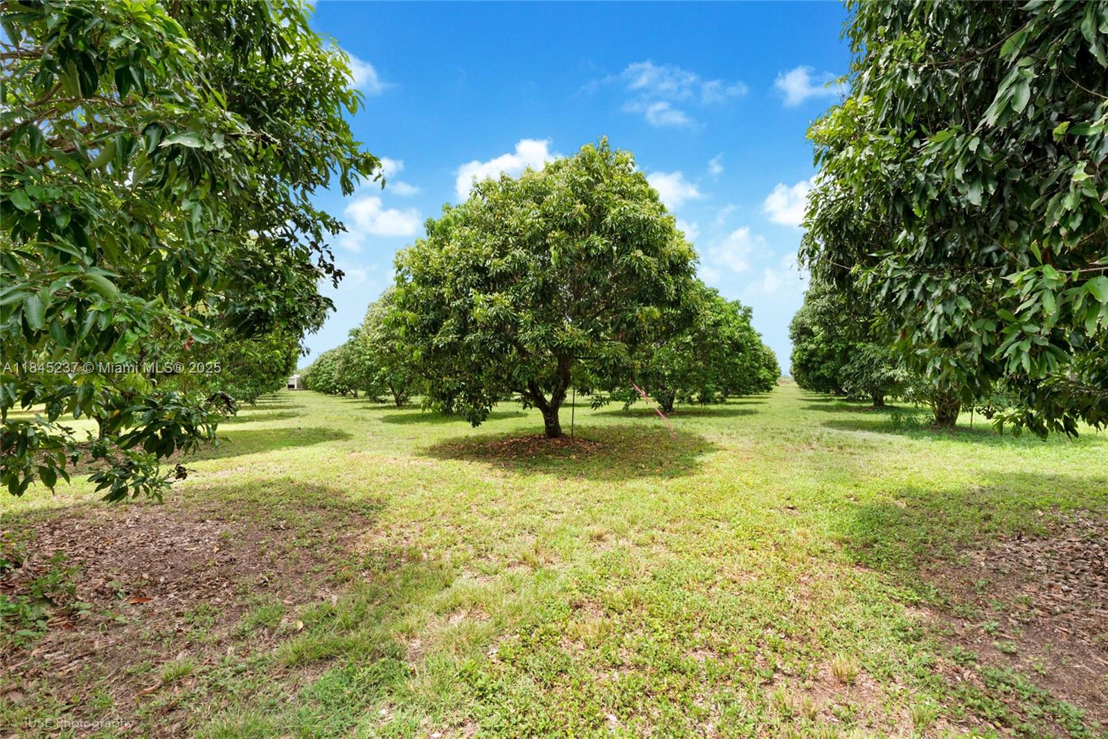 See details / sq. ft. $ 2025-07-22 0 Photo