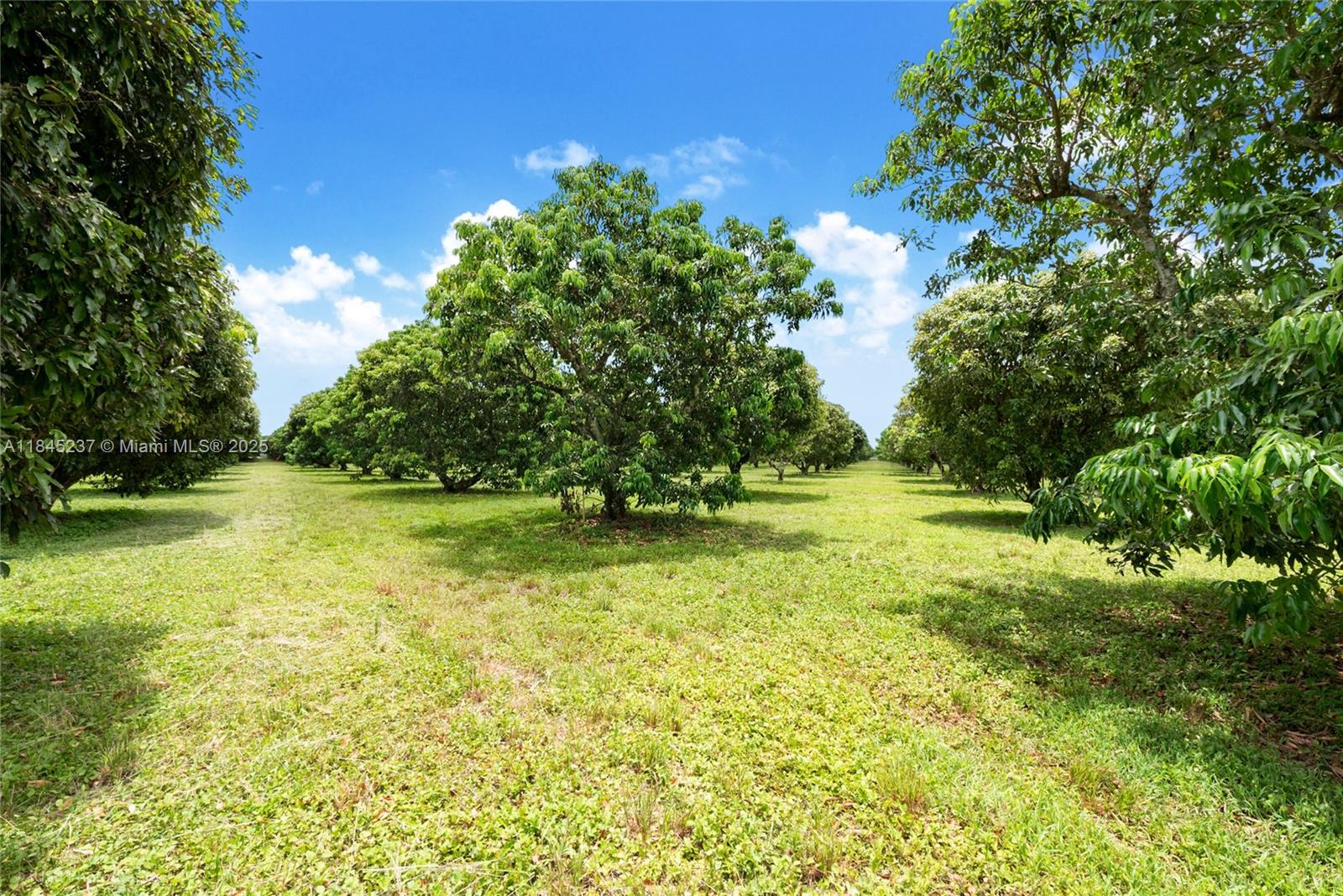 See details / sq. ft. $ 2025-07-22 0 Photo