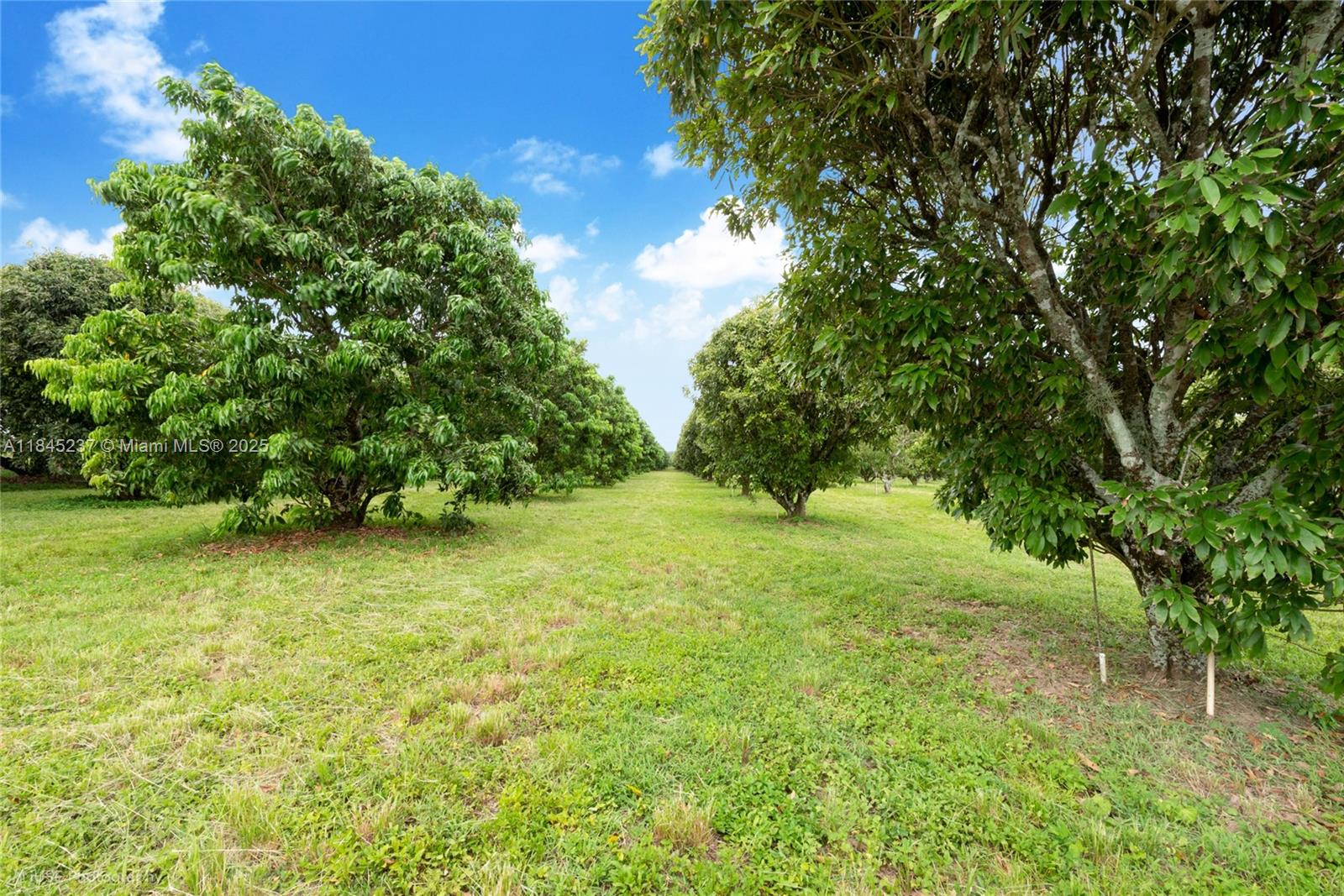 See details / sq. ft. $ 2025-07-22 0 Photo