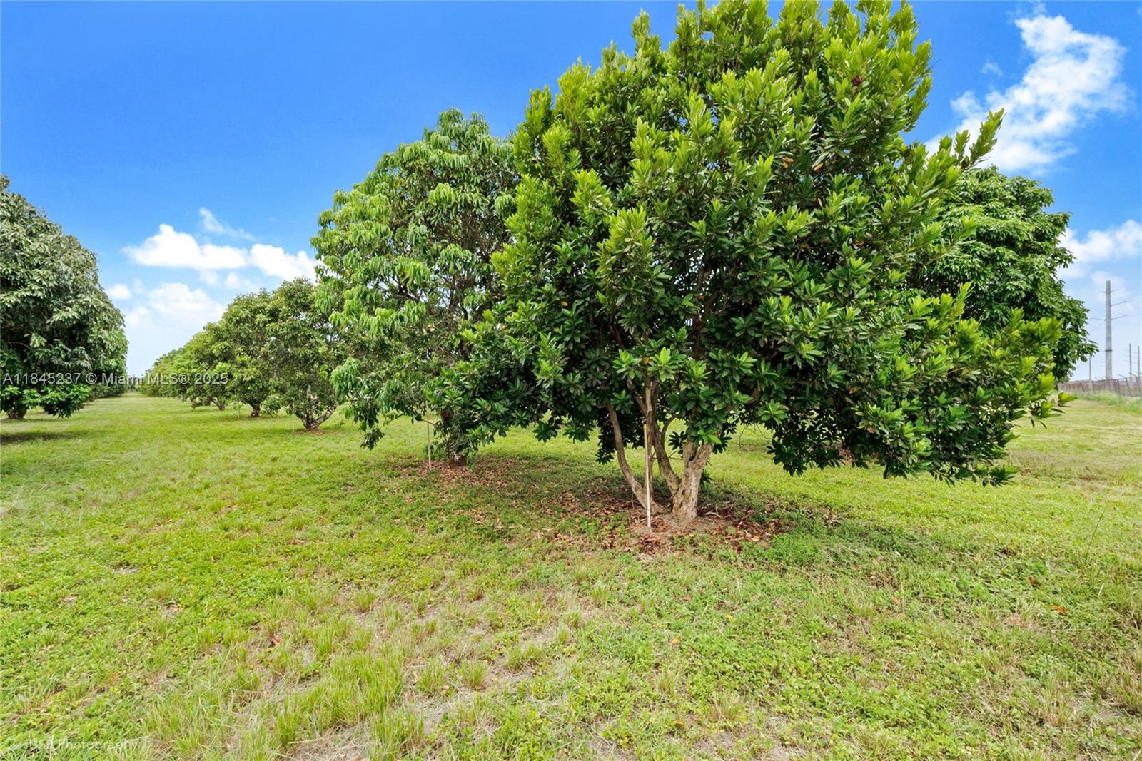 See details / sq. ft. $ 2025-07-22 0 Photo