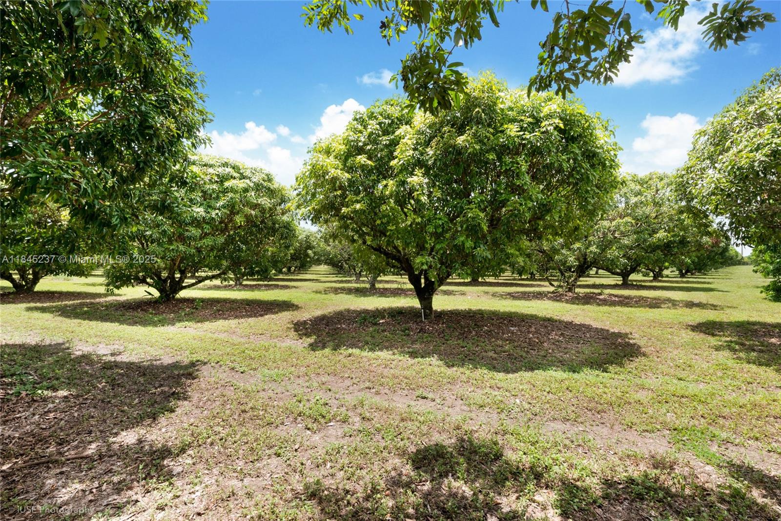 See details / sq. ft. $ 2025-07-22 0 Photo