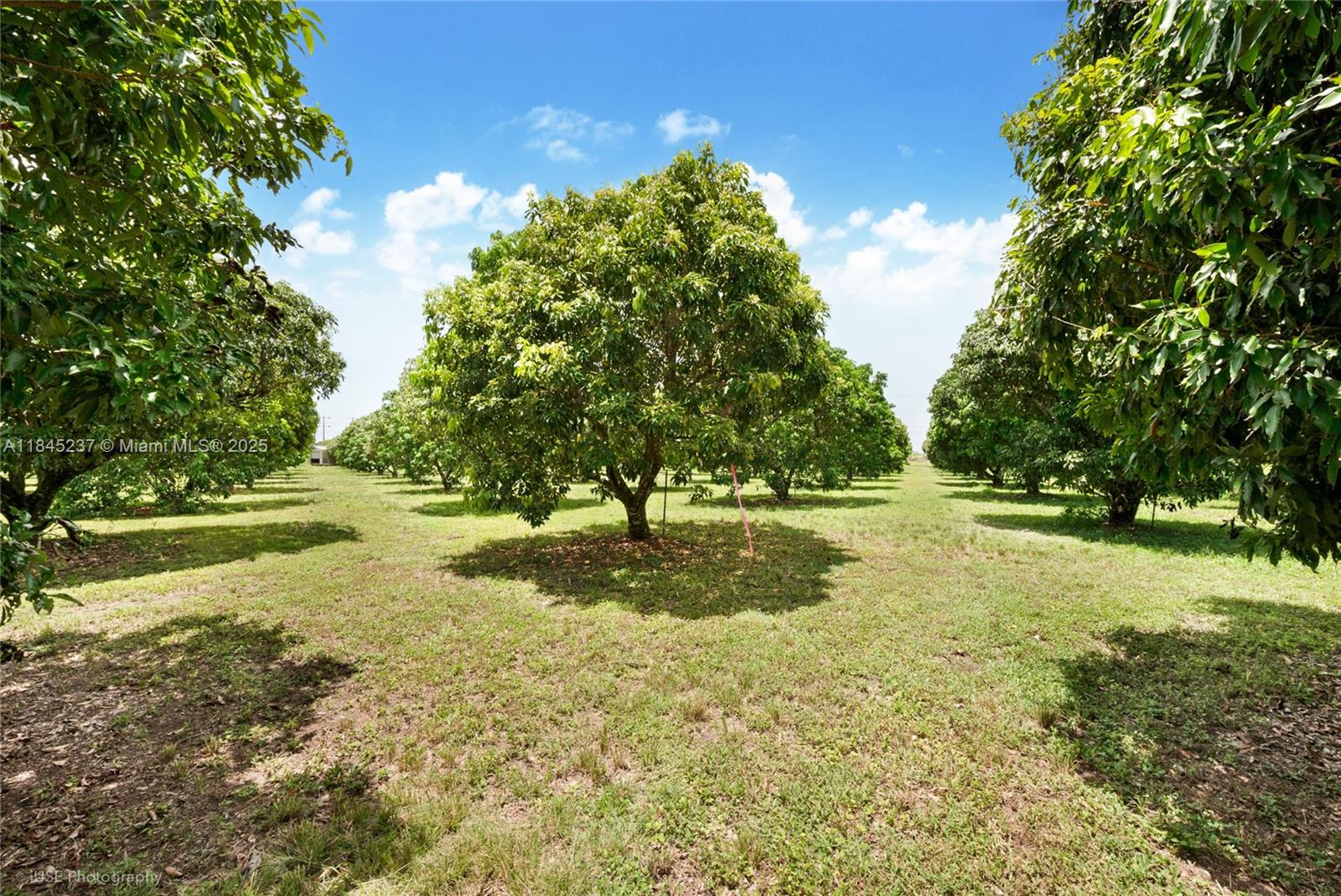 See details / sq. ft. $ 2025-07-22 0 Photo