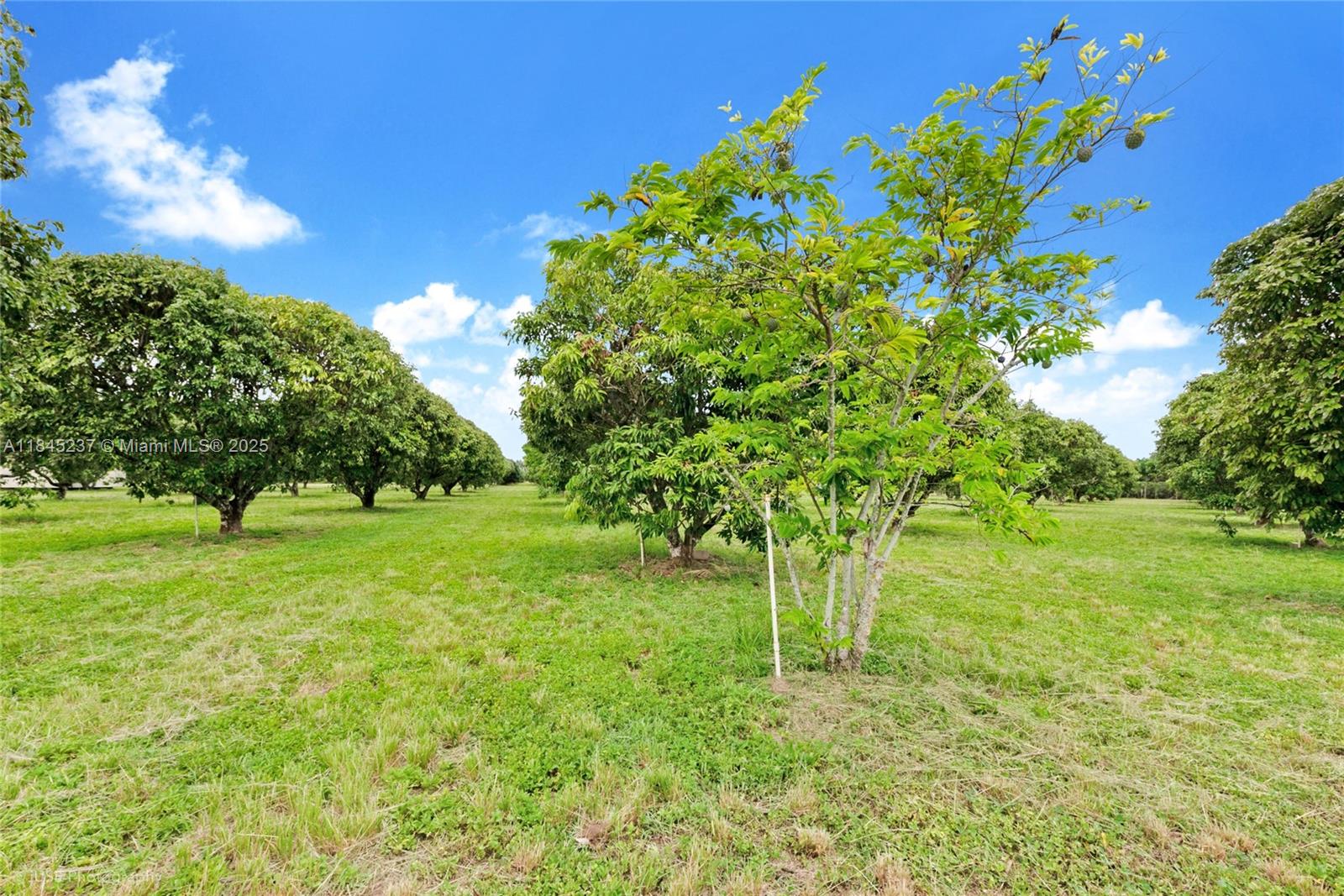 See details / sq. ft. $ 2025-07-22 0 Photo
