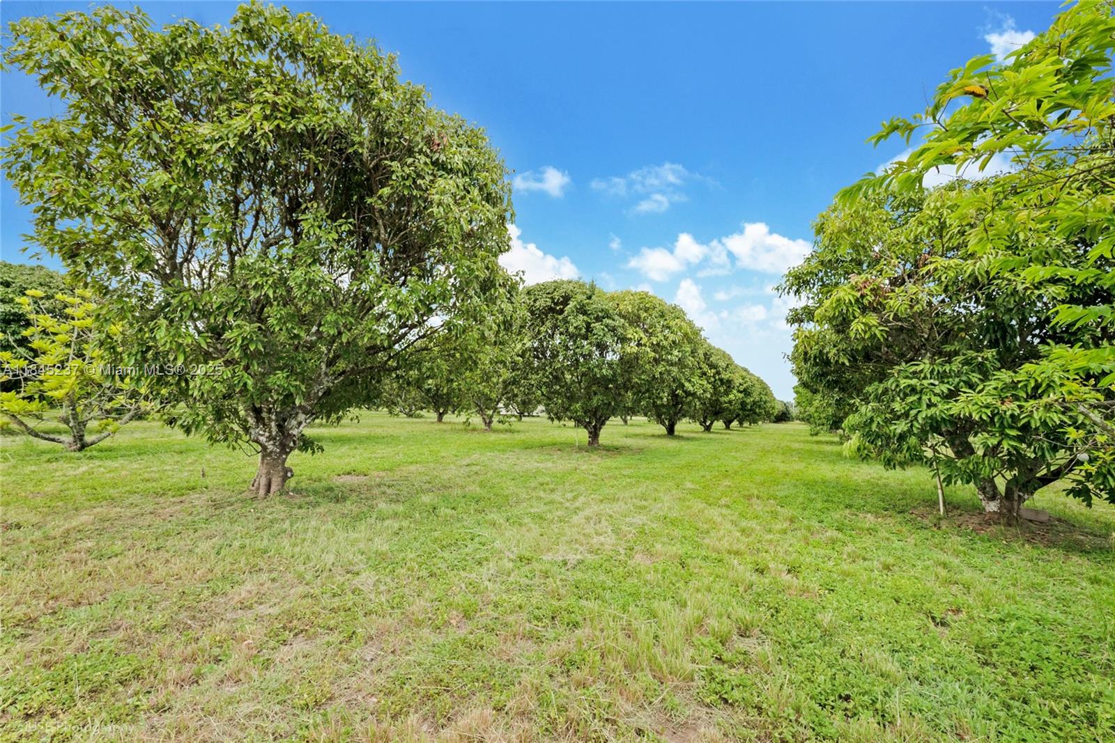 See details / sq. ft. $ 2025-07-22 0 Photo