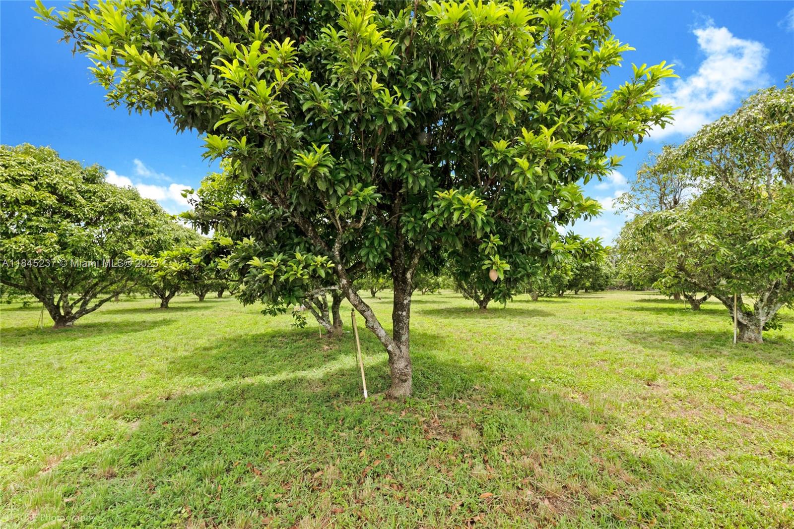 See details / sq. ft. $ 2025-07-22 0 Photo