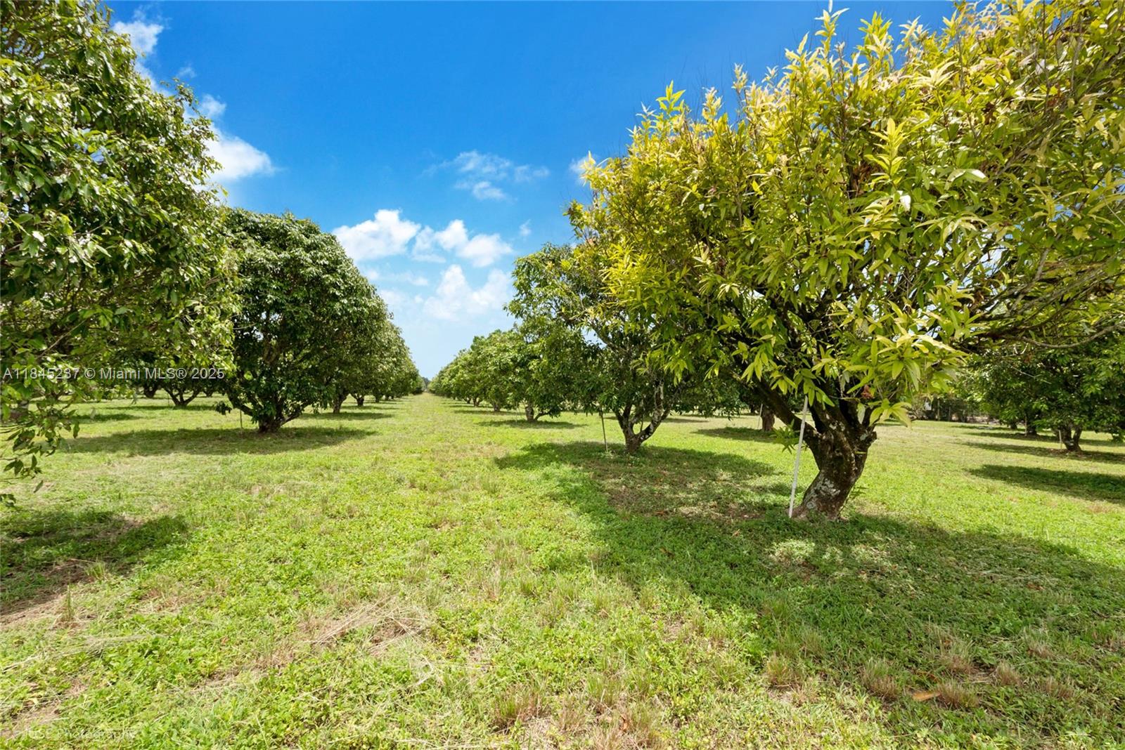 See details / sq. ft. $ 2025-07-22 0 Photo