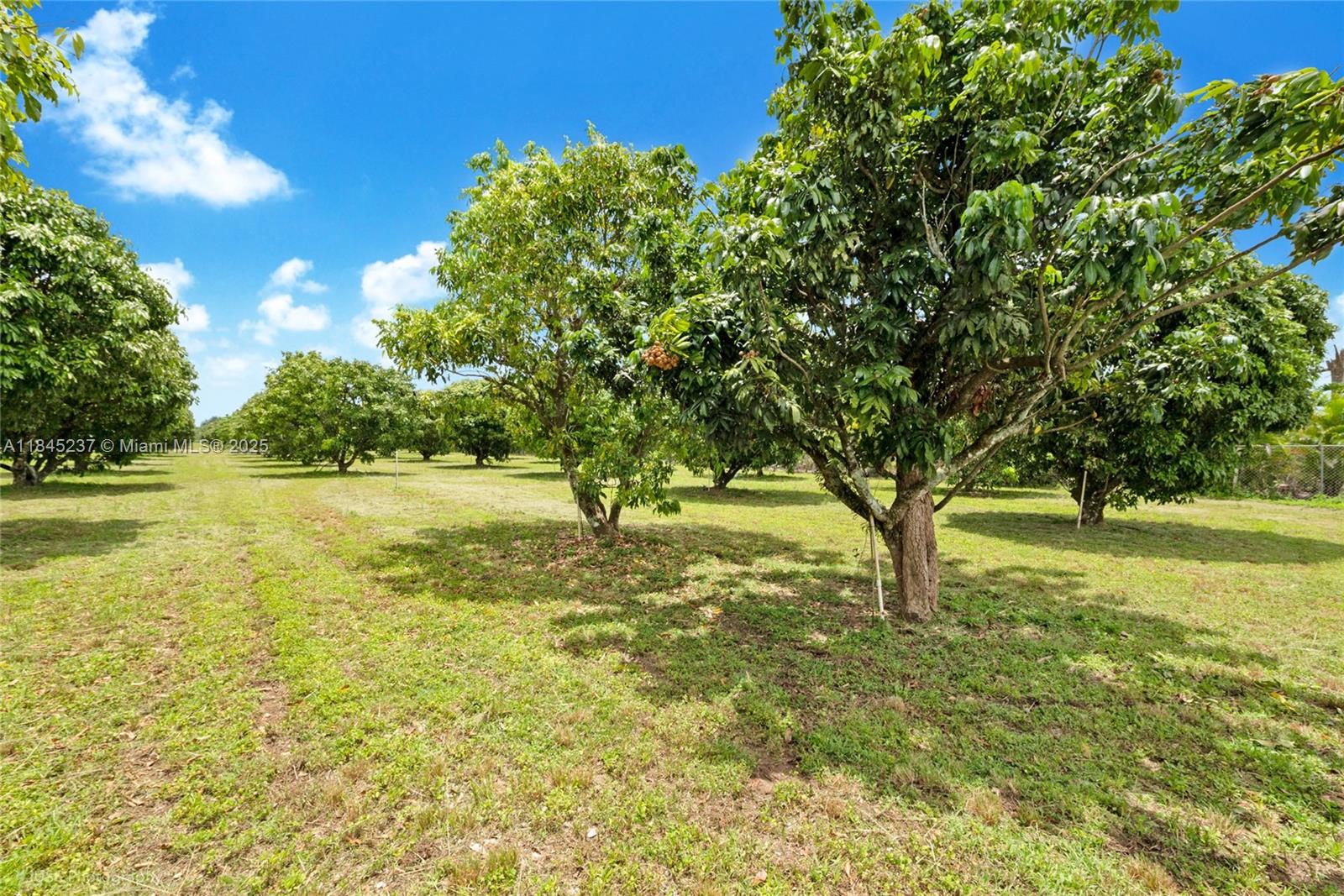 See details / sq. ft. $ 2025-07-22 0 Photo
