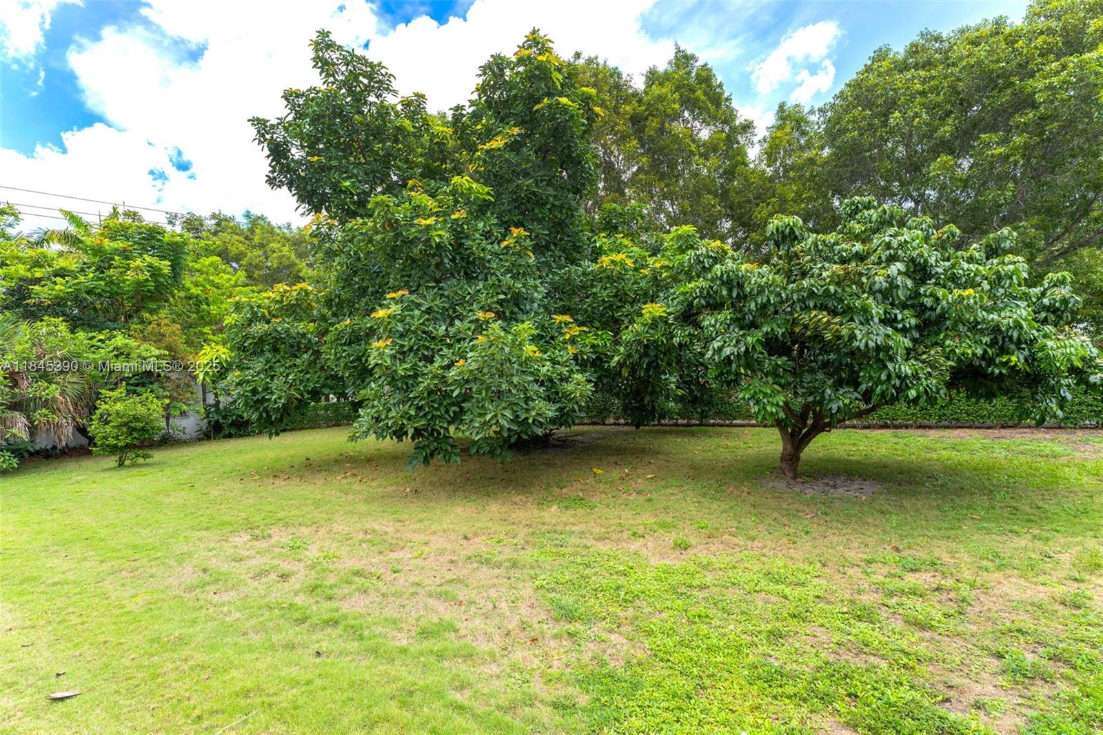 See details / sq. ft. $ 2025-07-22 0 Photo