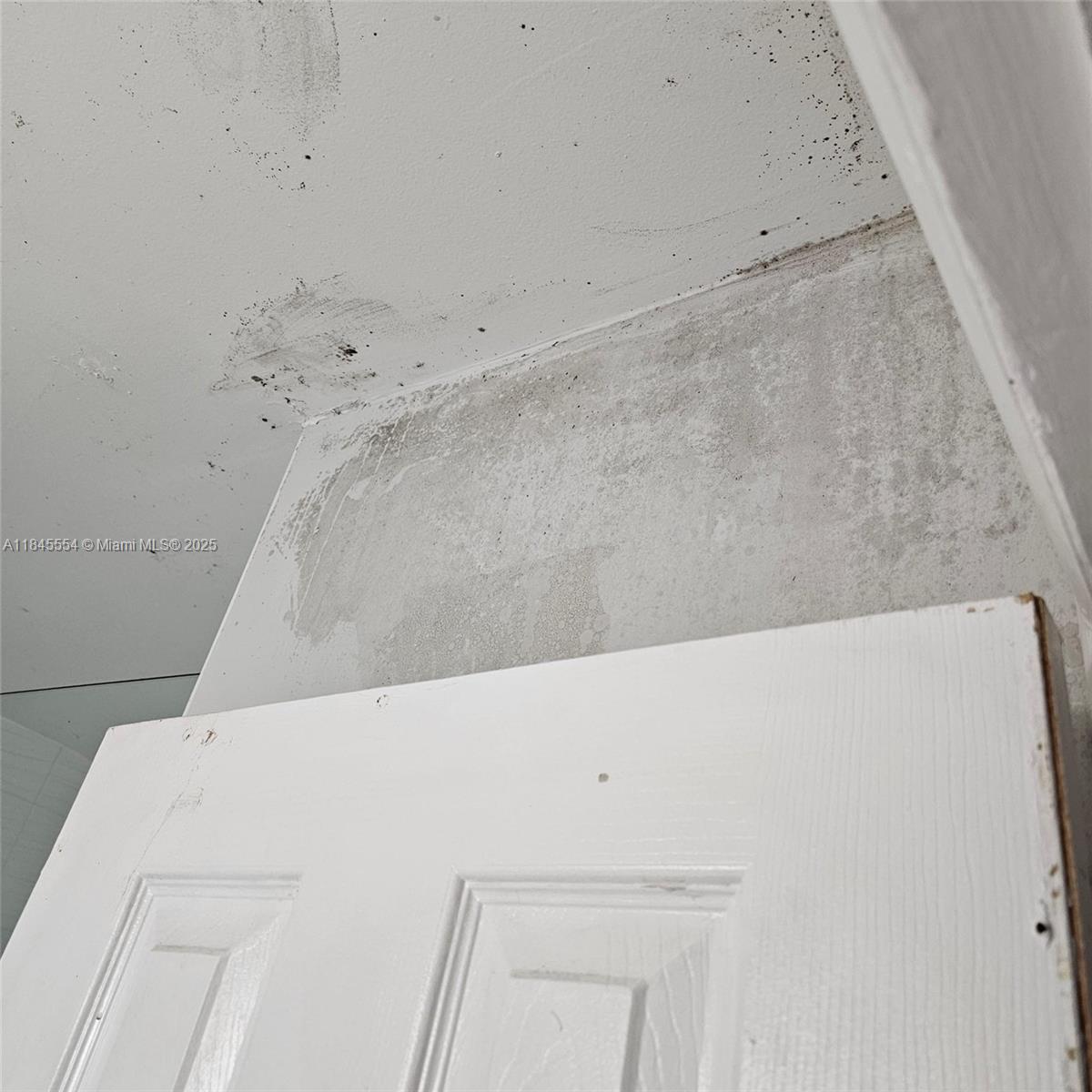 Ver detalles 4492 3 / 2 1104 sq. ft. $ 2025-07-23 0 foto
