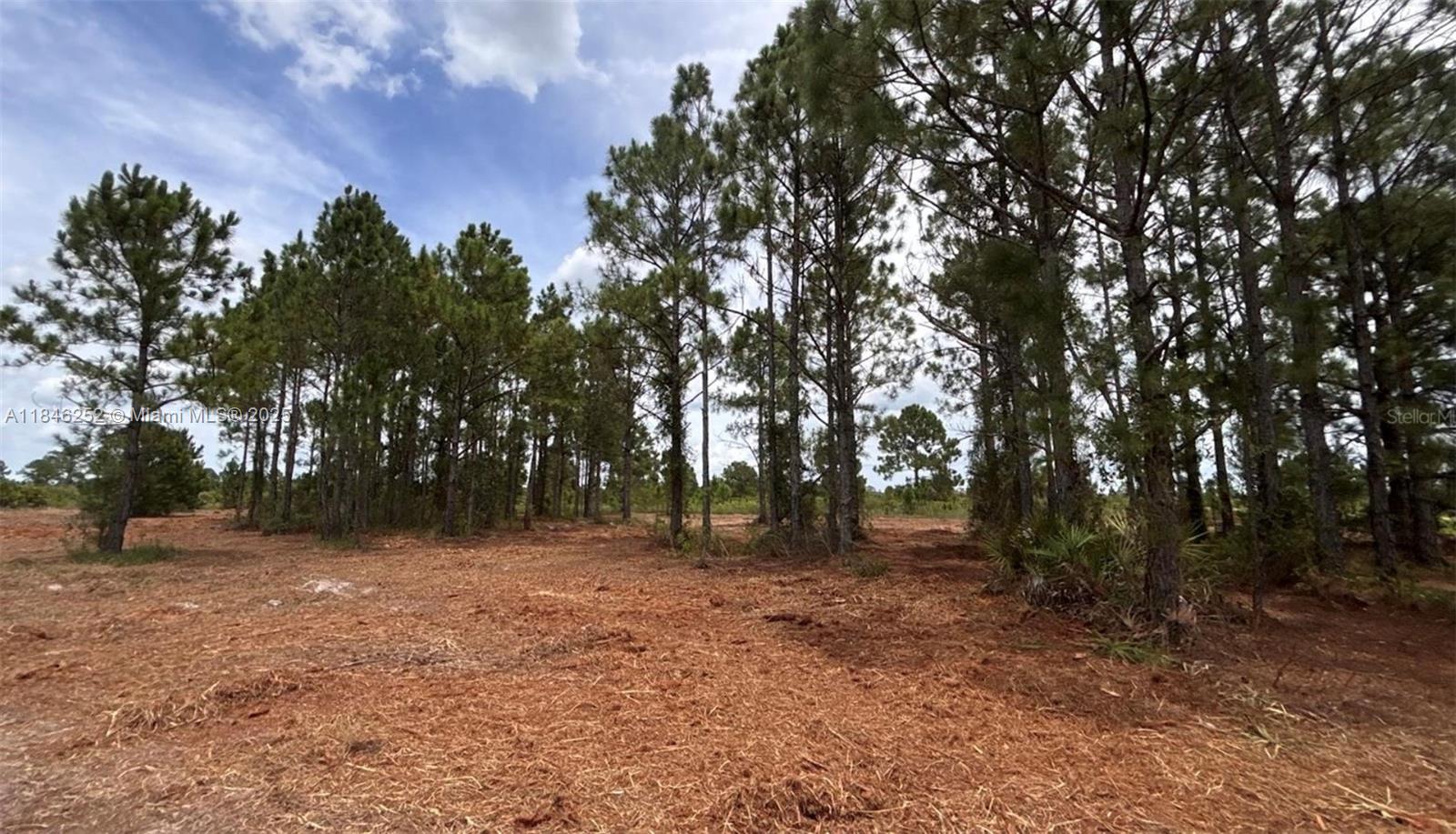 See details / sq. ft. $ 2025-07-24 0 Photo