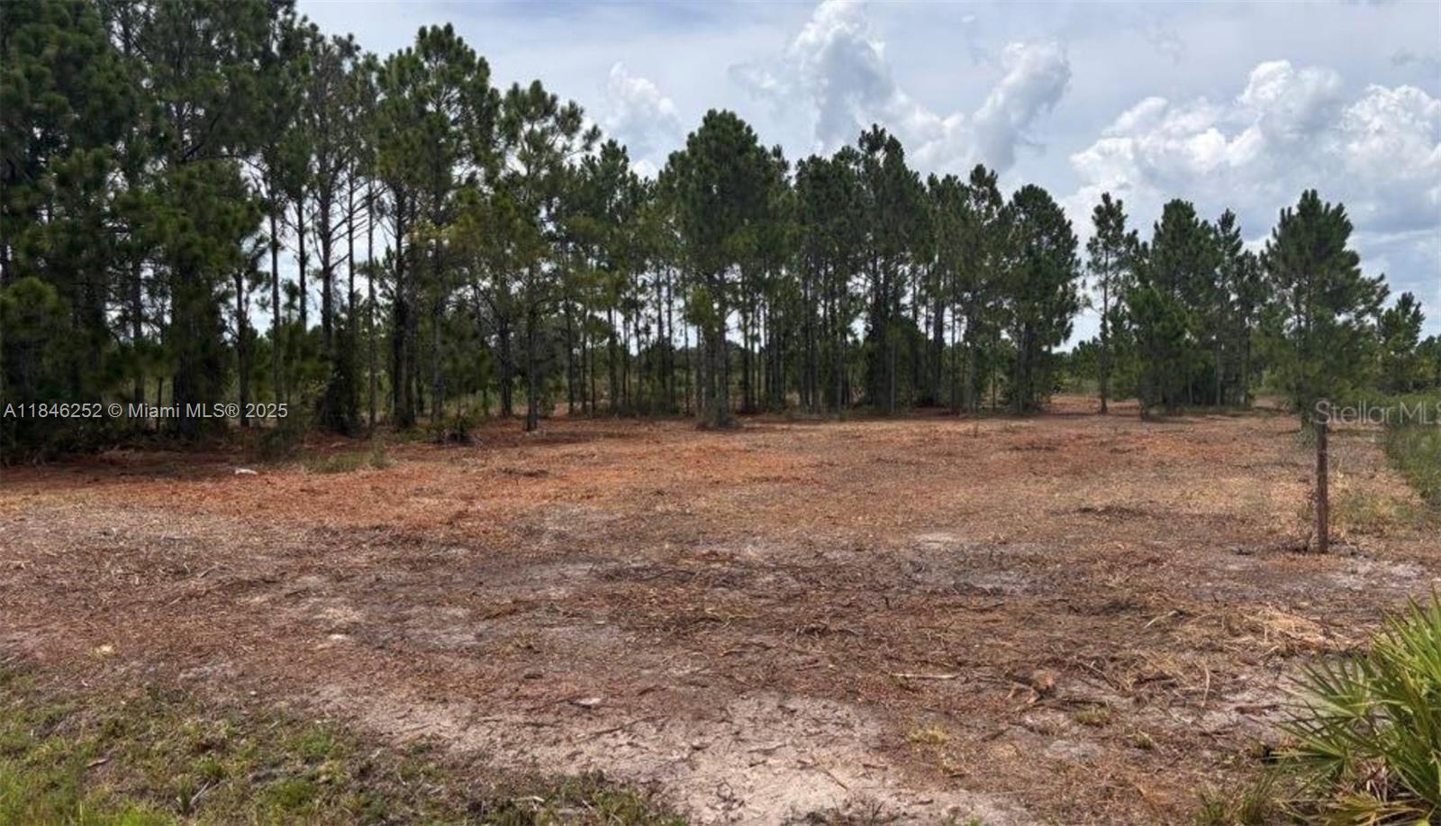 See details / sq. ft. $ 2025-07-24 0 Photo