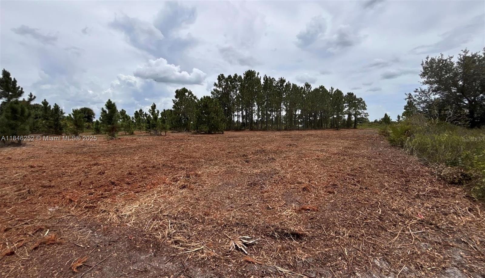 See details / sq. ft. $ 2025-07-24 0 Photo