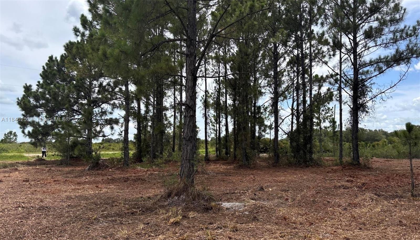 See details / sq. ft. $ 2025-07-24 0 Photo