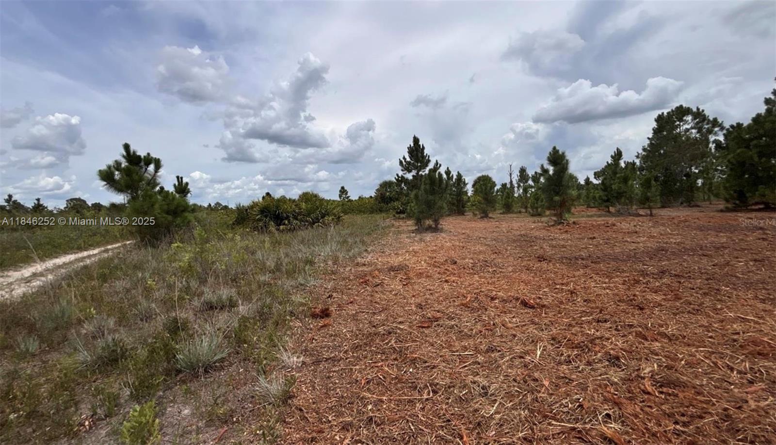 See details / sq. ft. $ 2025-07-24 0 Photo