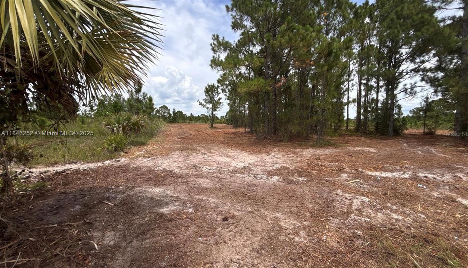 See details / sq. ft. $ 2025-07-24 0 Photo