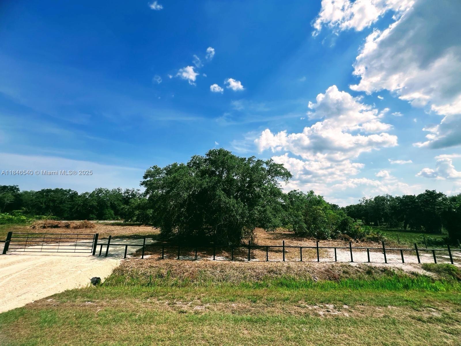 See details / sq. ft. $ 2025-07-24 0 Photo