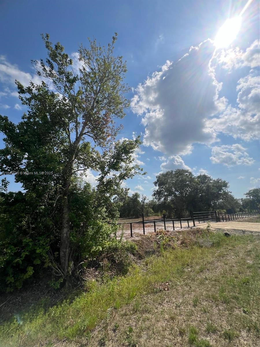 See details / sq. ft. $ 2025-07-24 0 Photo