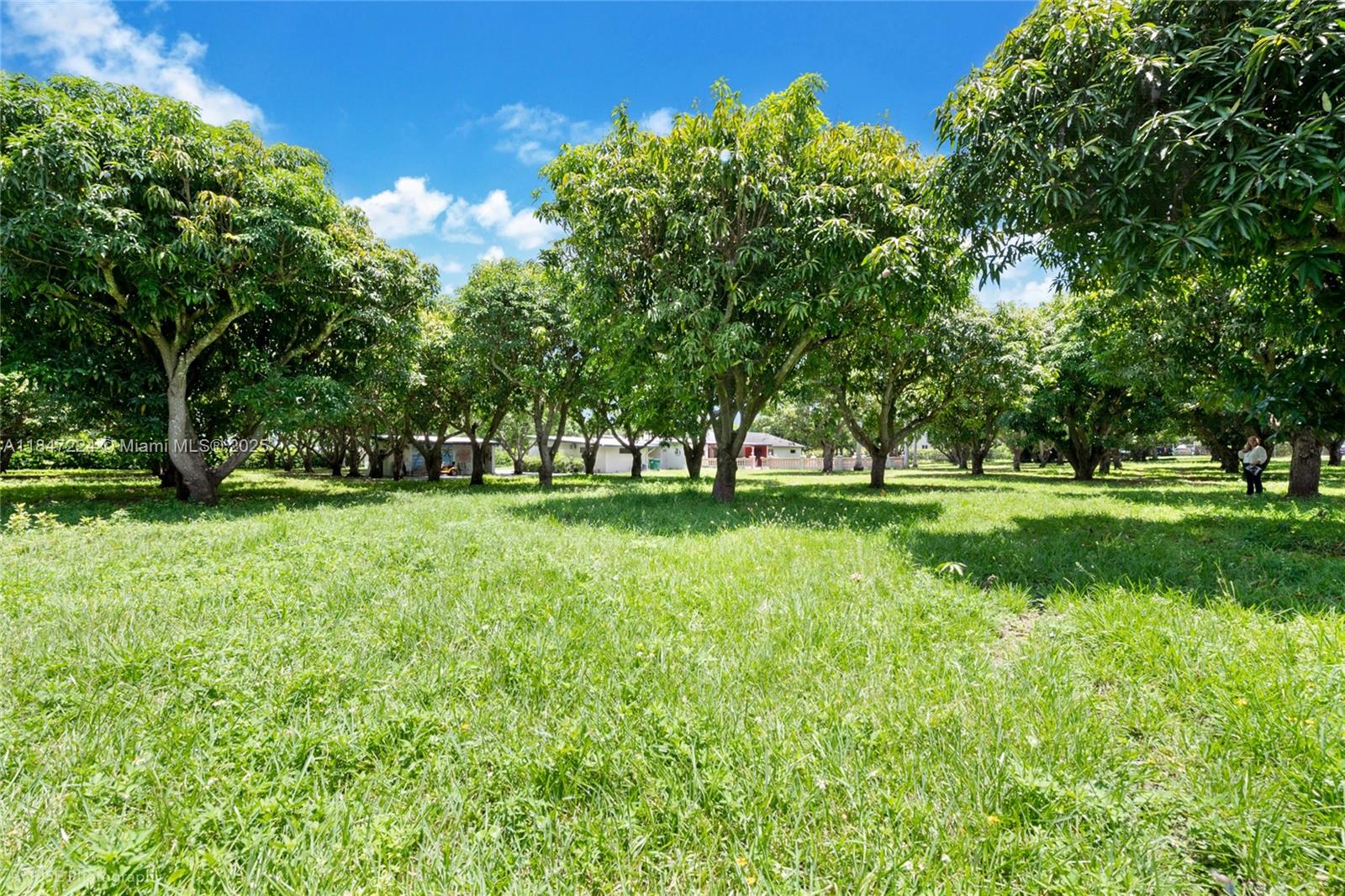 See details / sq. ft. $ 2025-07-25 0 Photo