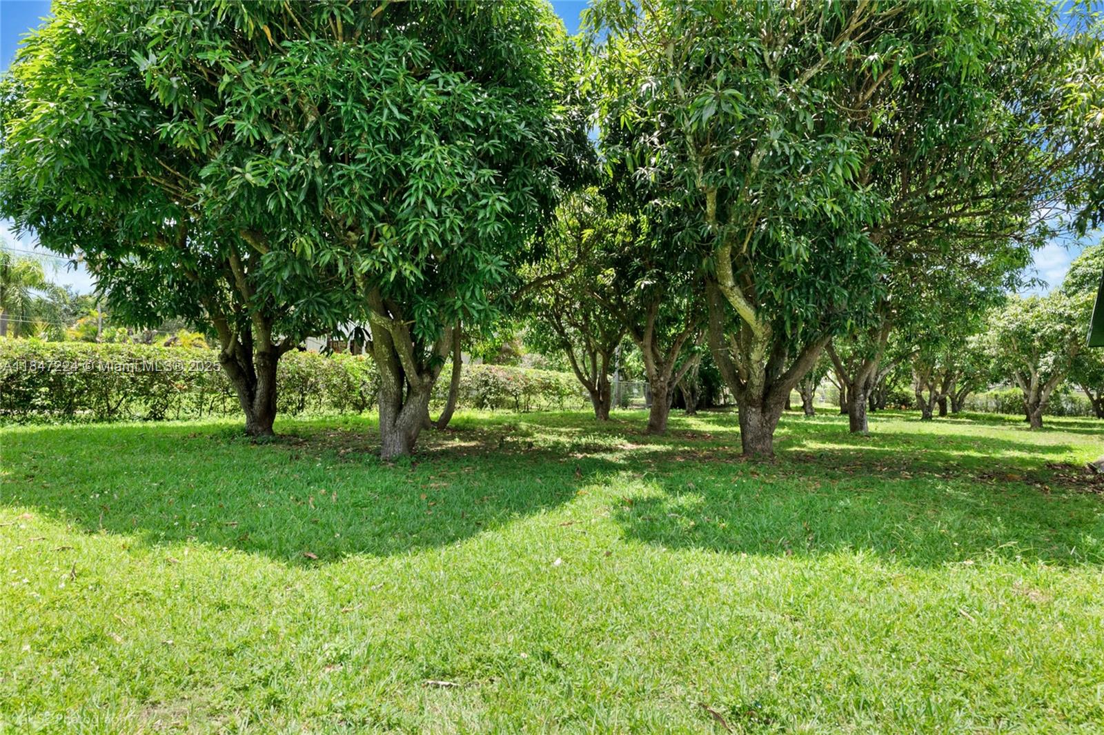 See details / sq. ft. $ 2025-07-25 0 Photo